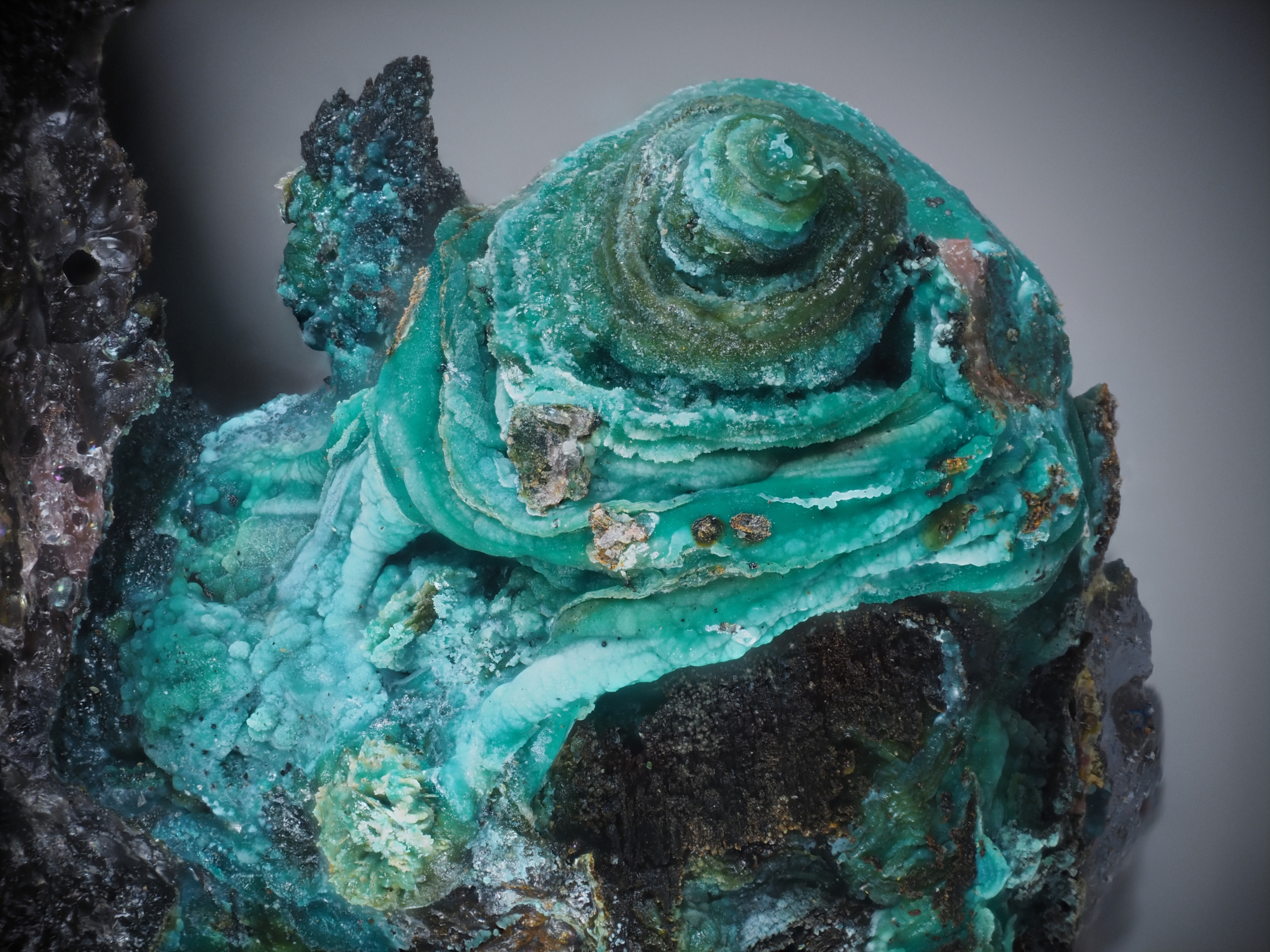 L'Agardite 1
