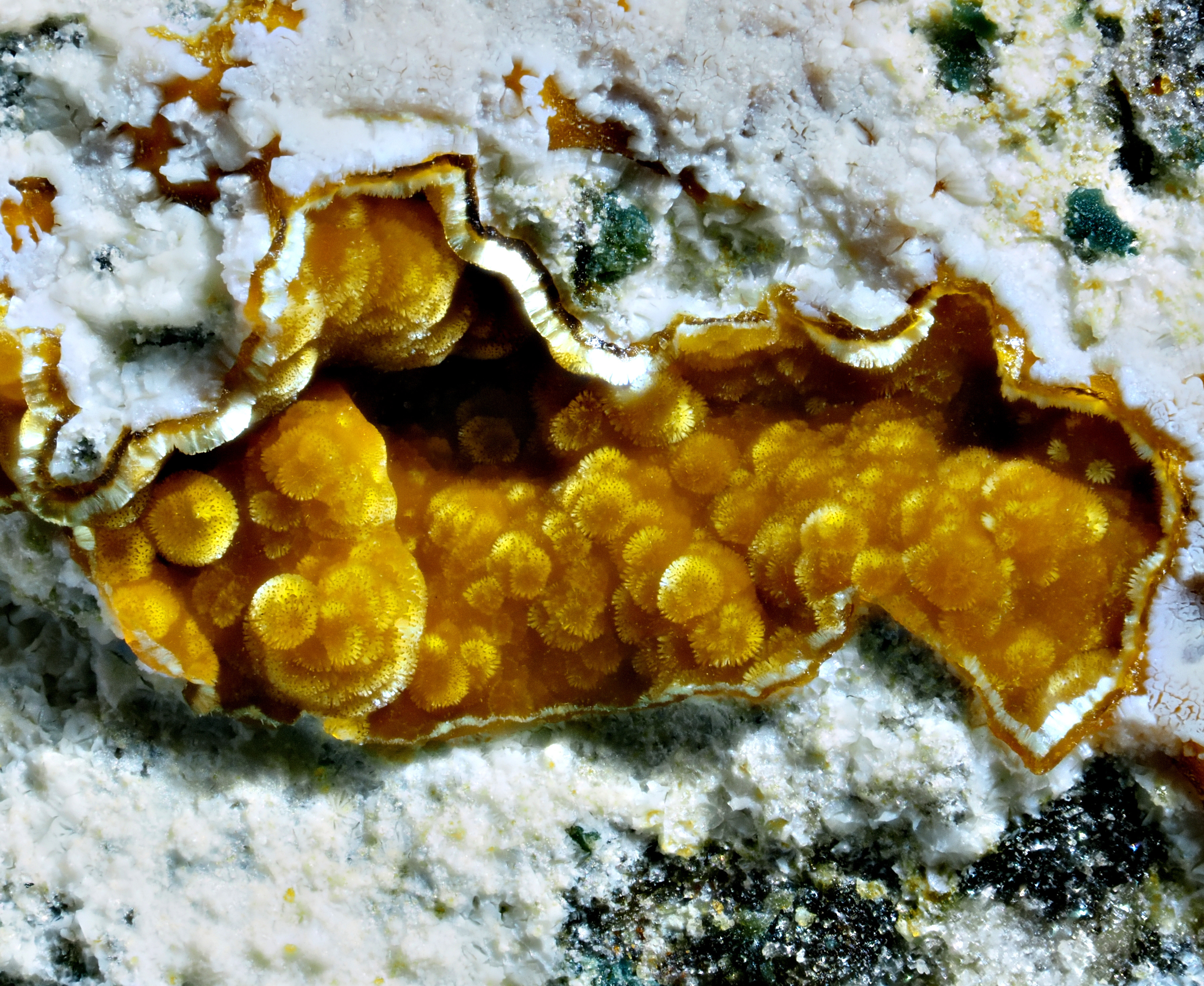 L'Agardite 1