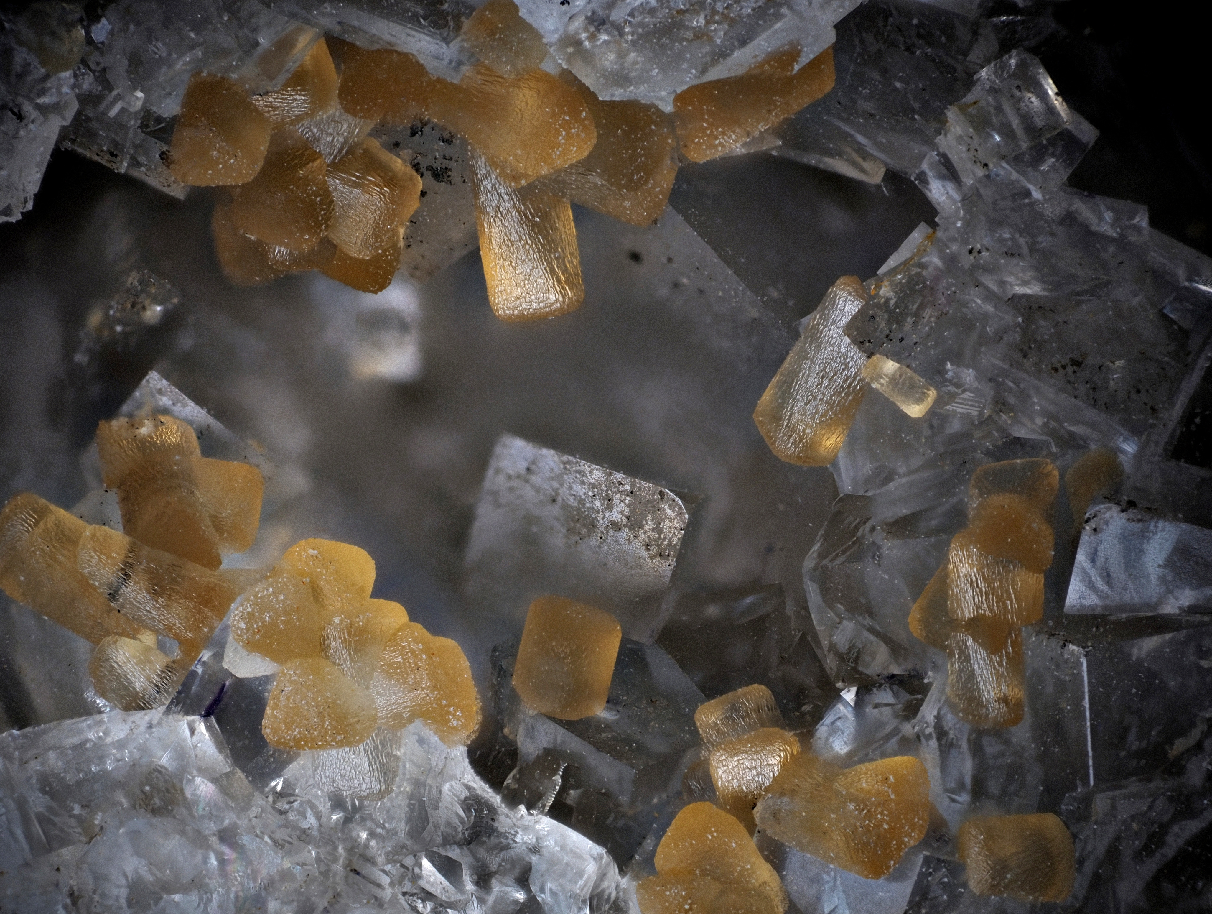 L'Agardite 1