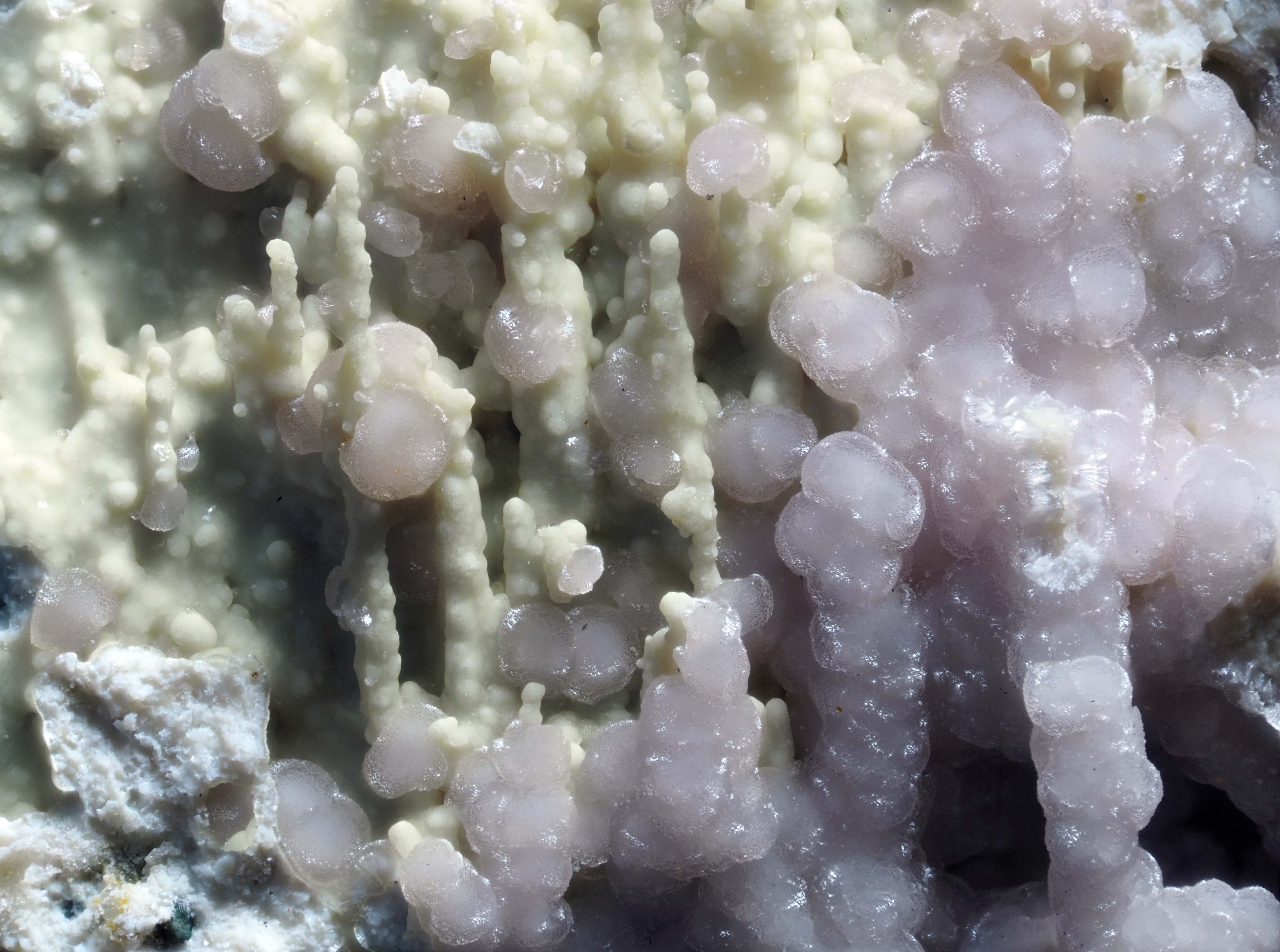 L'Agardite 1