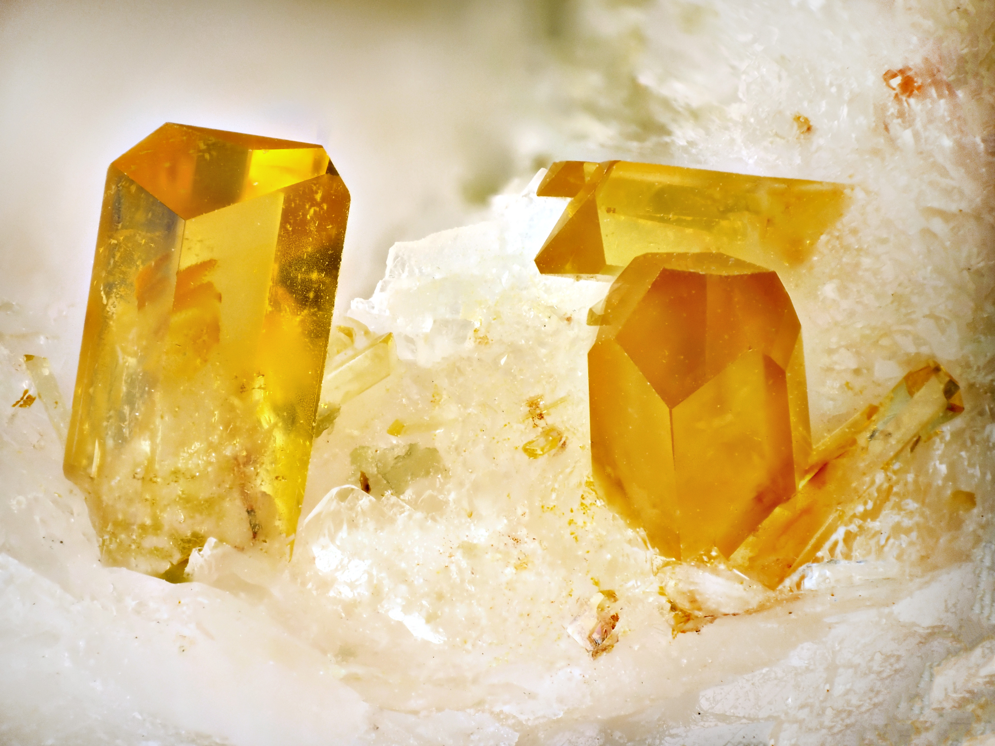 L'Agardite 1