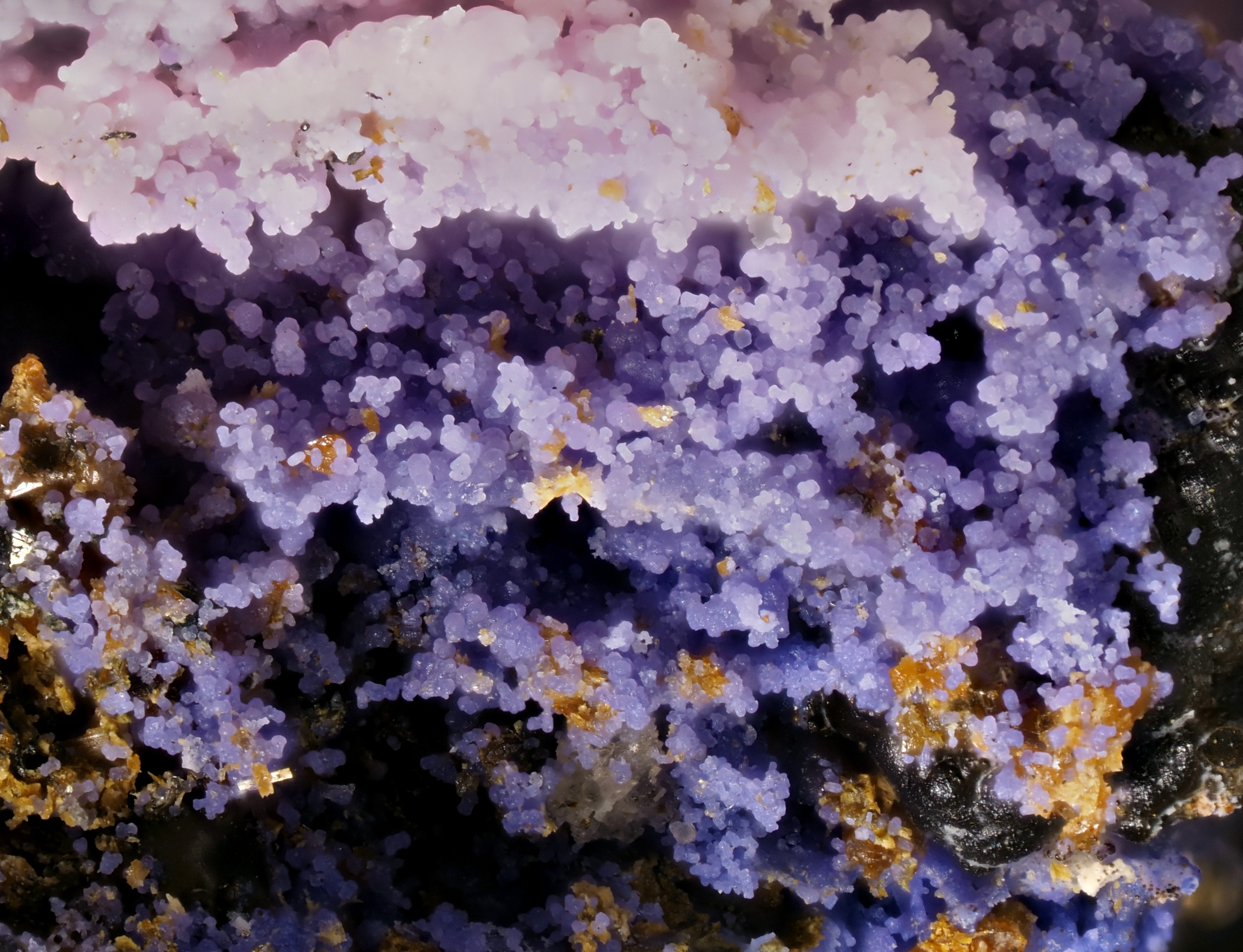 L'Agardite 1