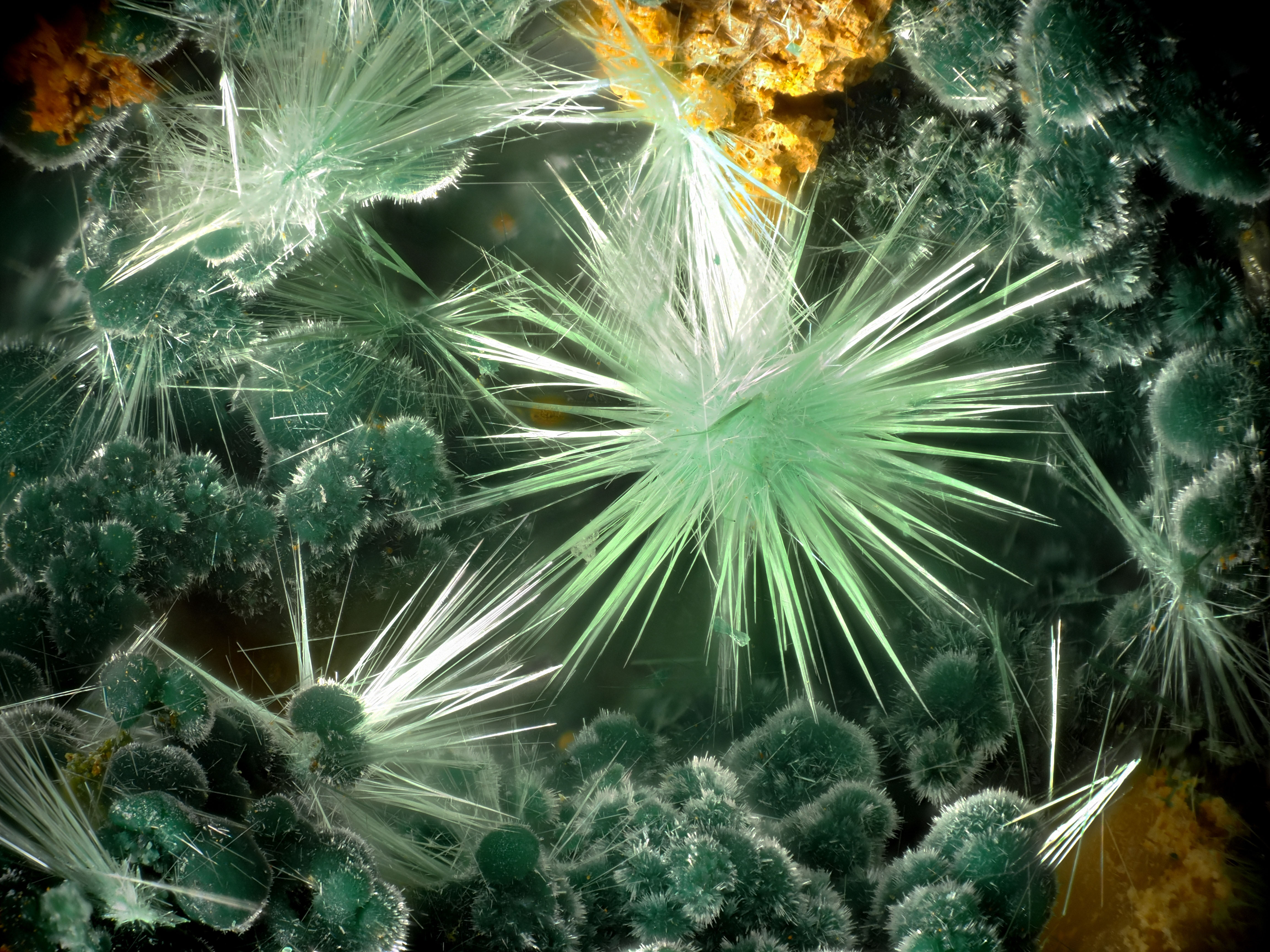 L'Agardite 1