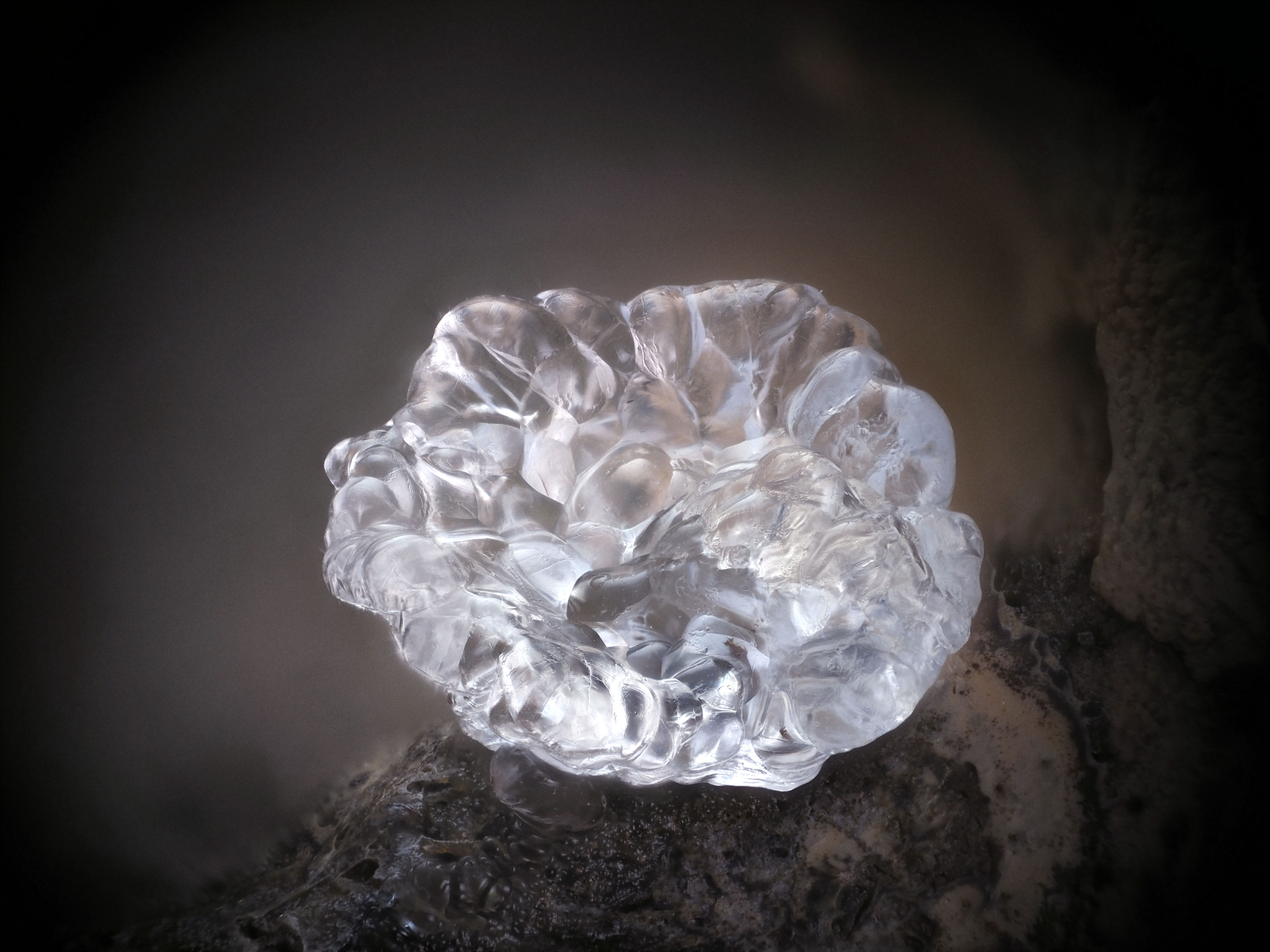 L'Agardite 1