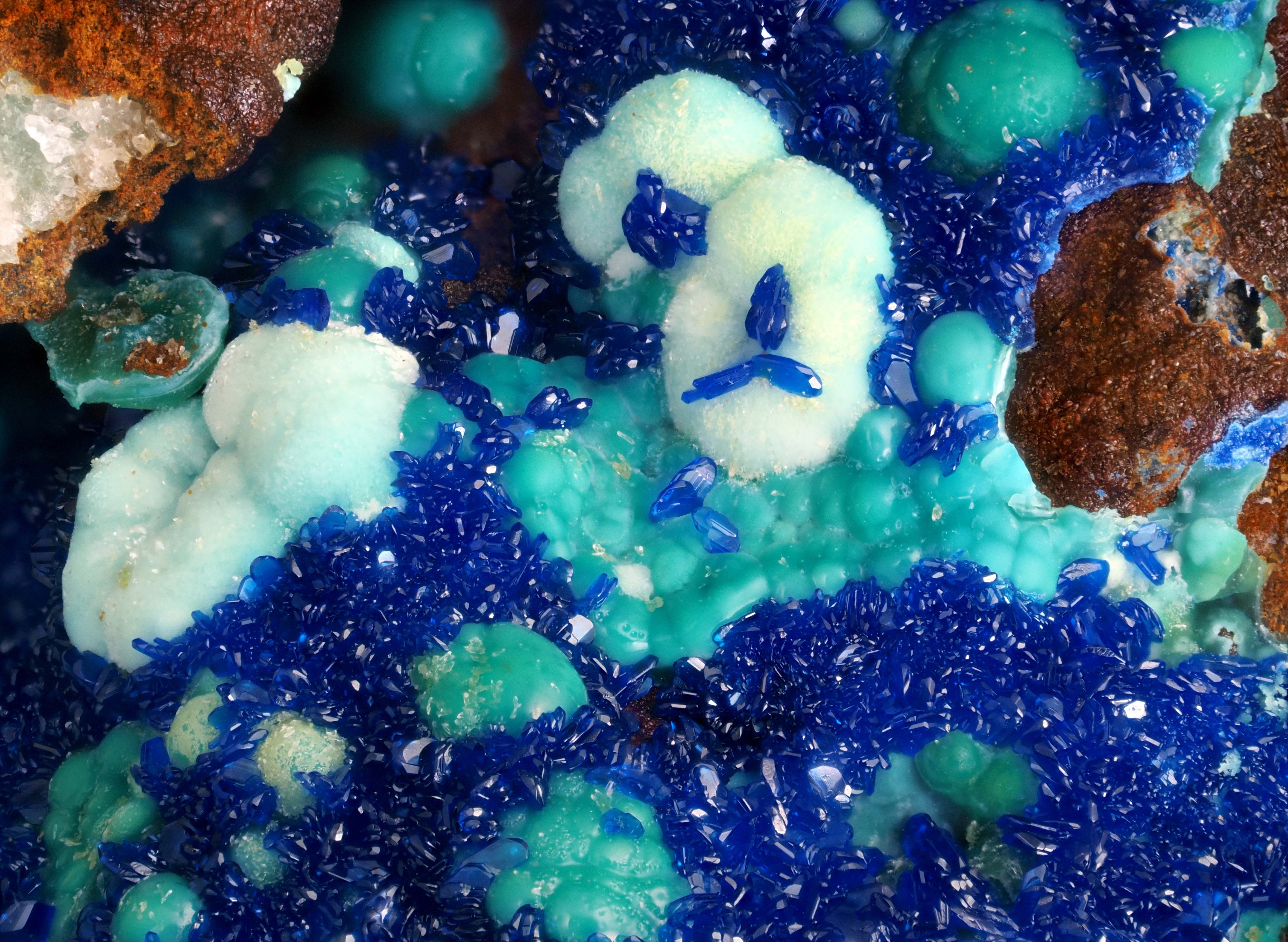L'Agardite 1