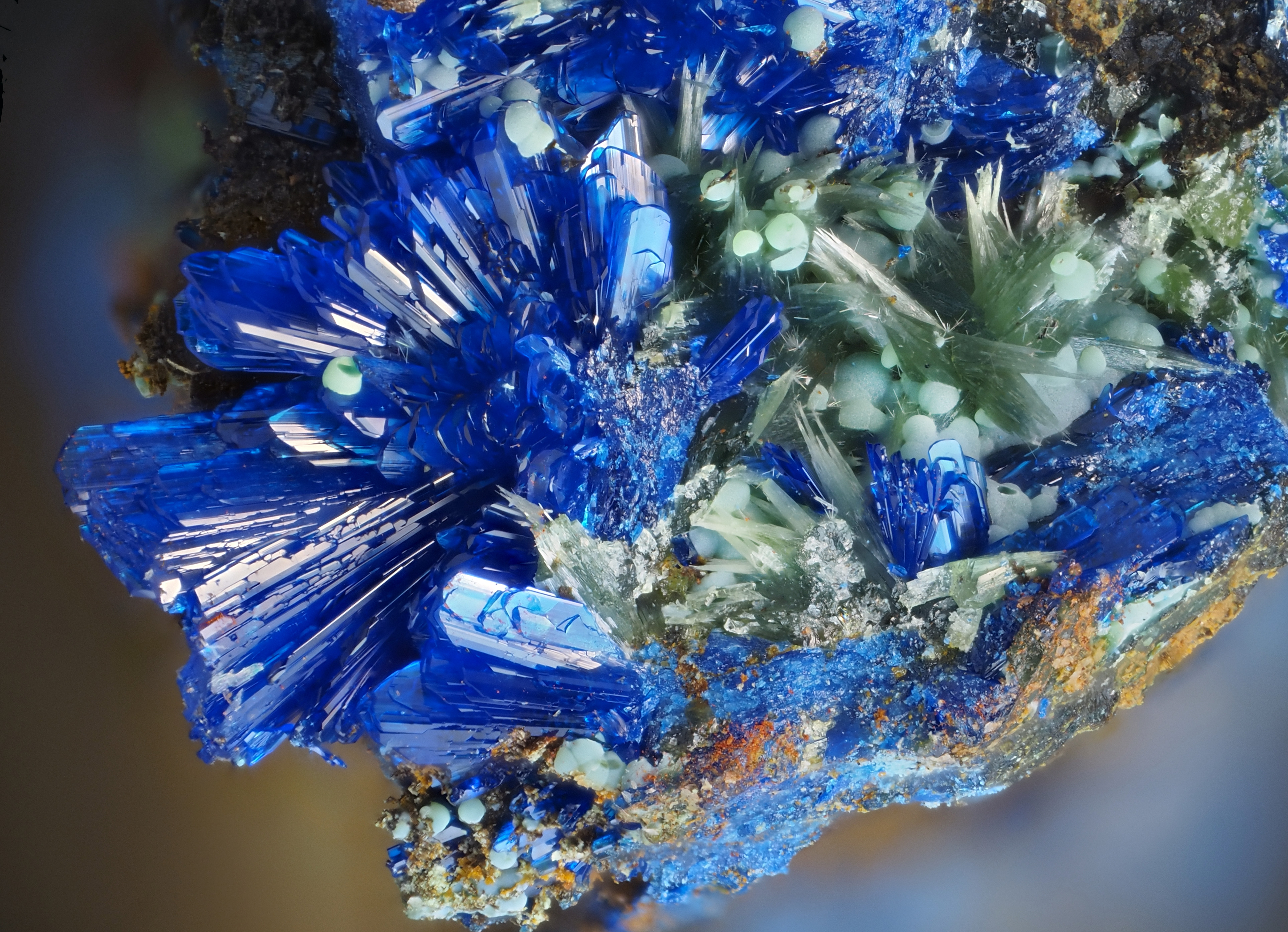 L'Agardite 1