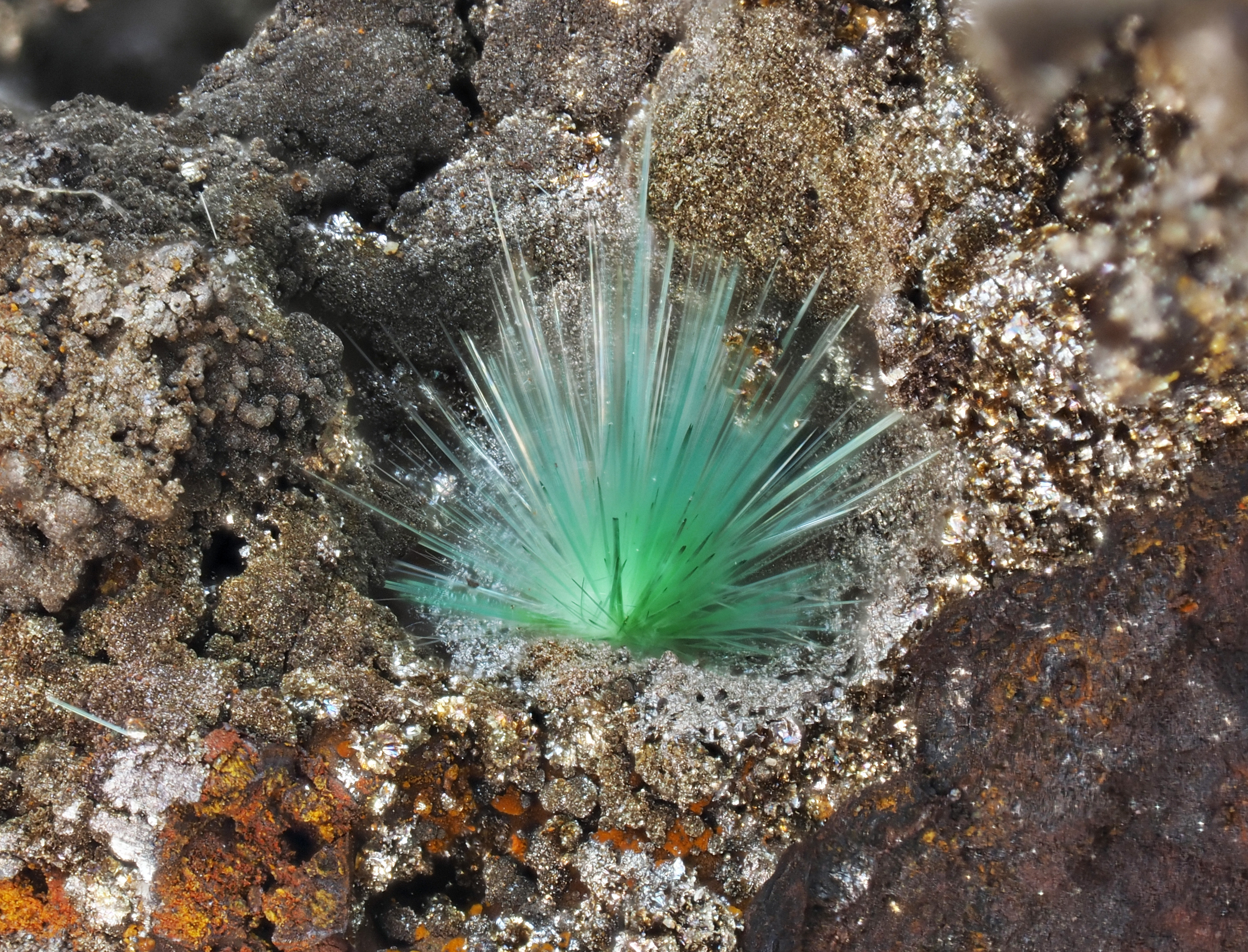 L'Agardite 1