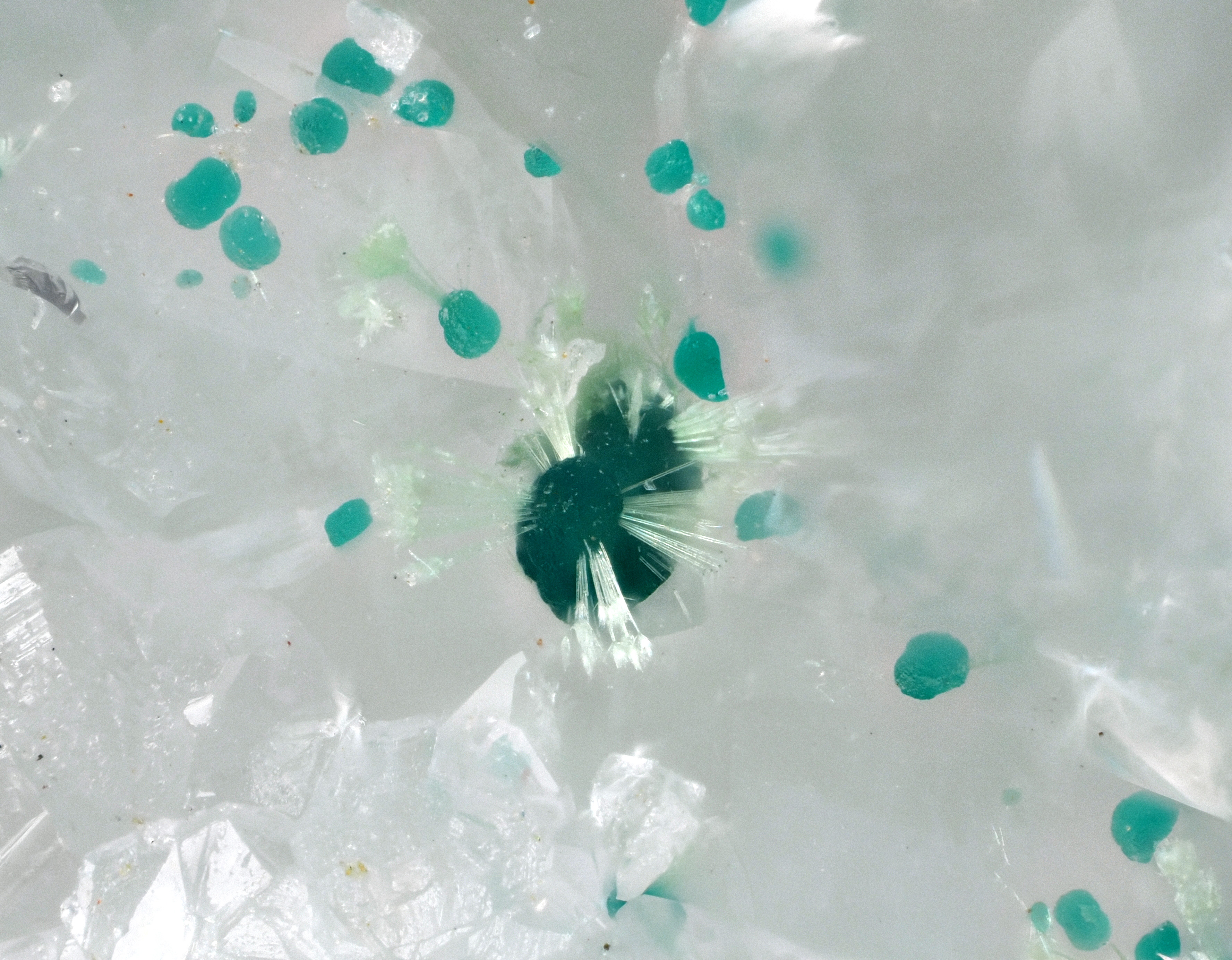 L'Agardite 1