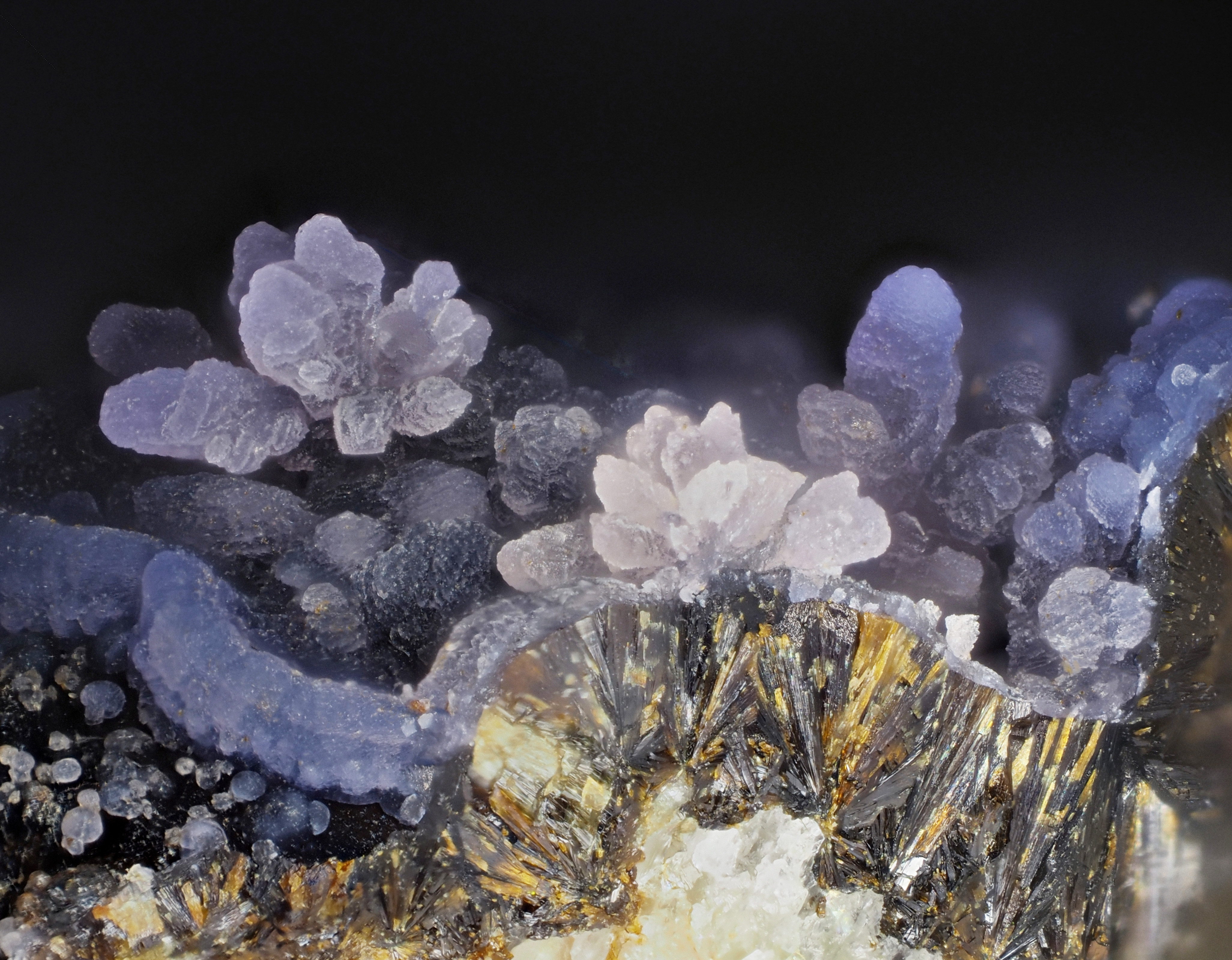 L'Agardite 1