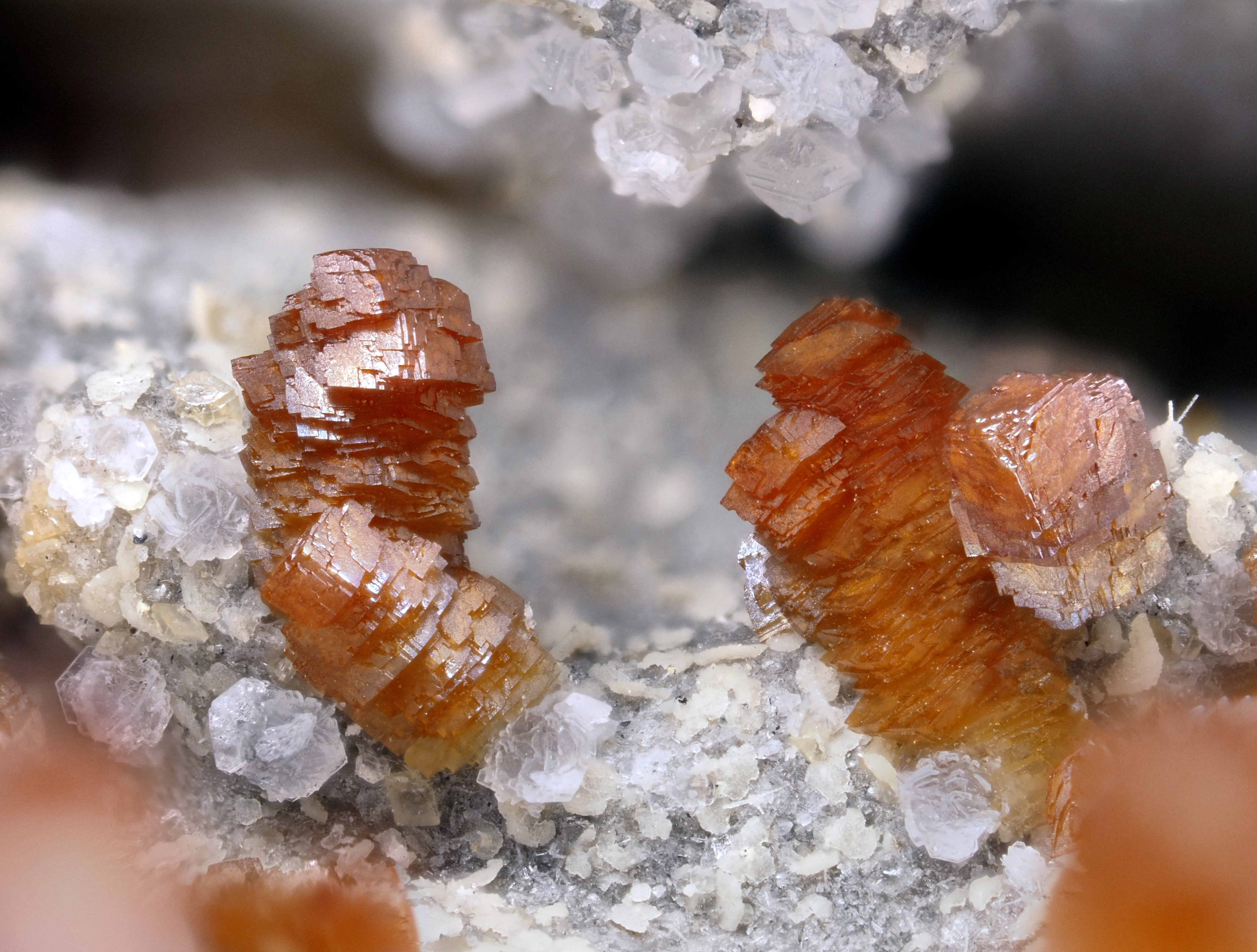 L'Agardite 1