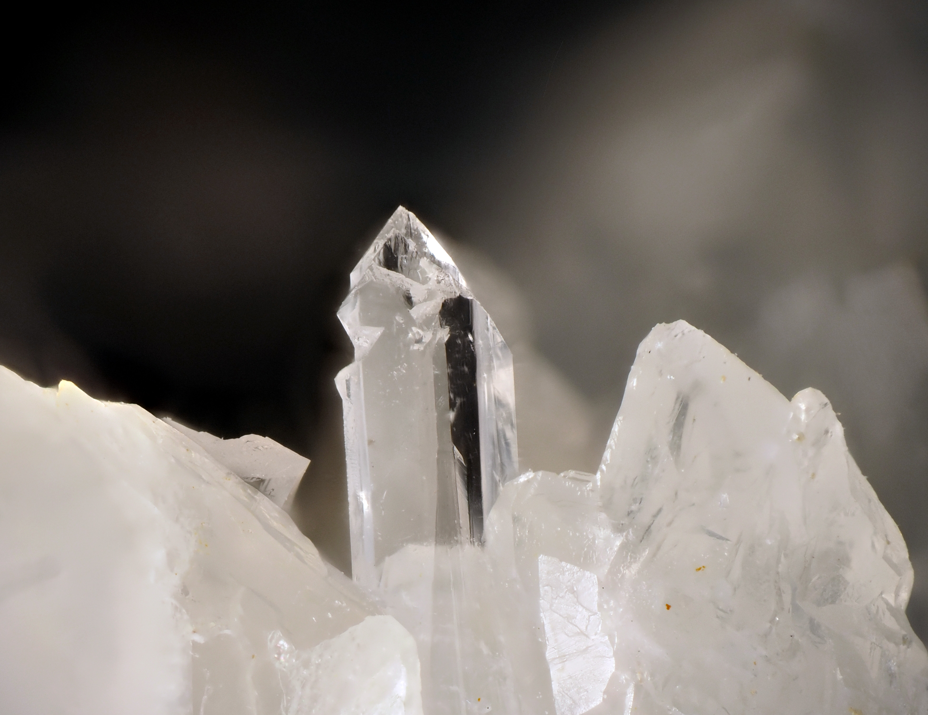 L'Agardite 1