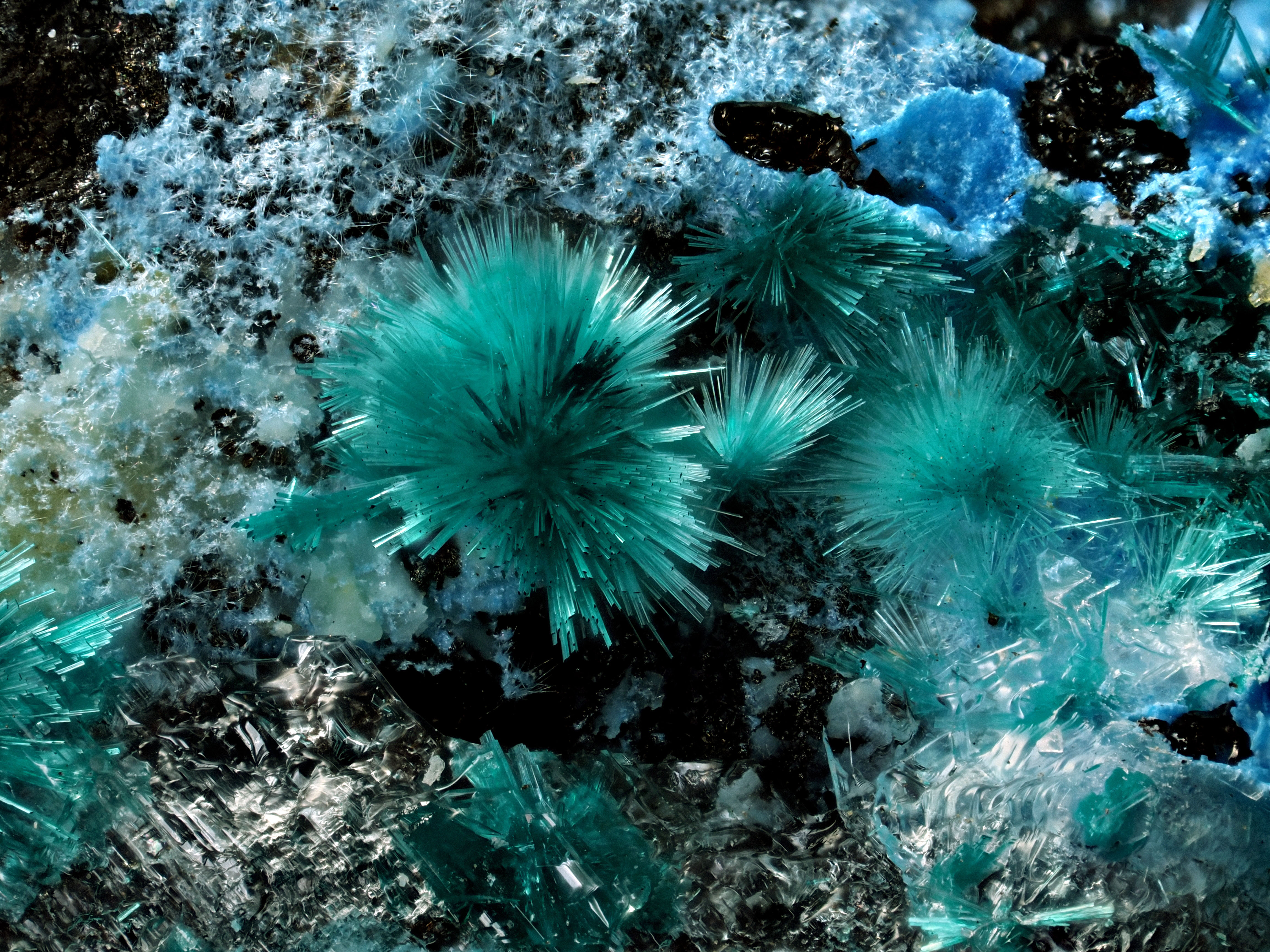 L'Agardite 1