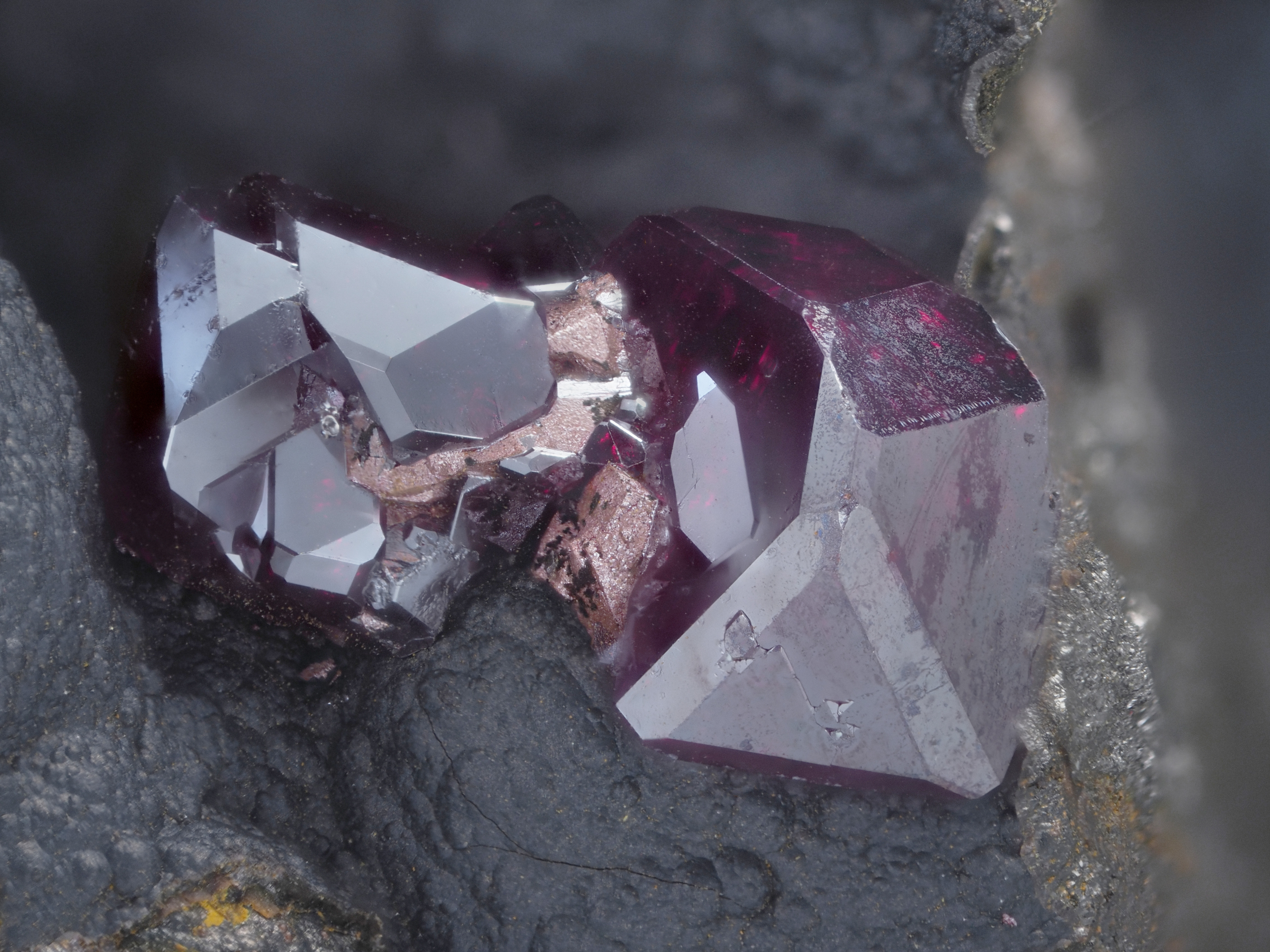 L'Agardite 1