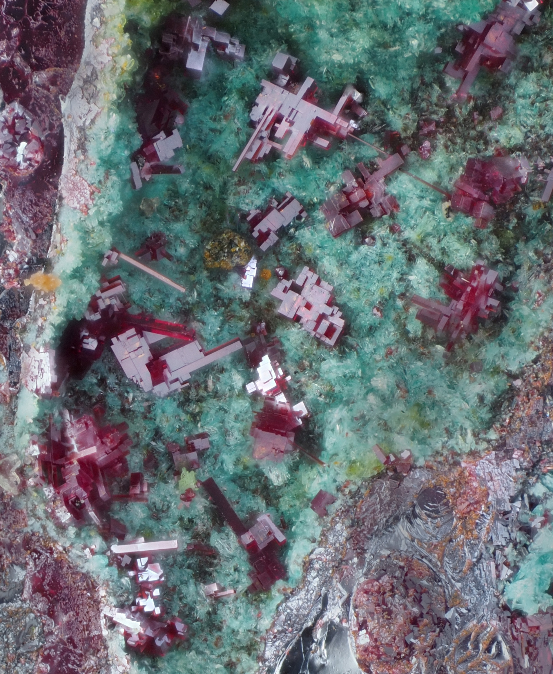 L'Agardite 1