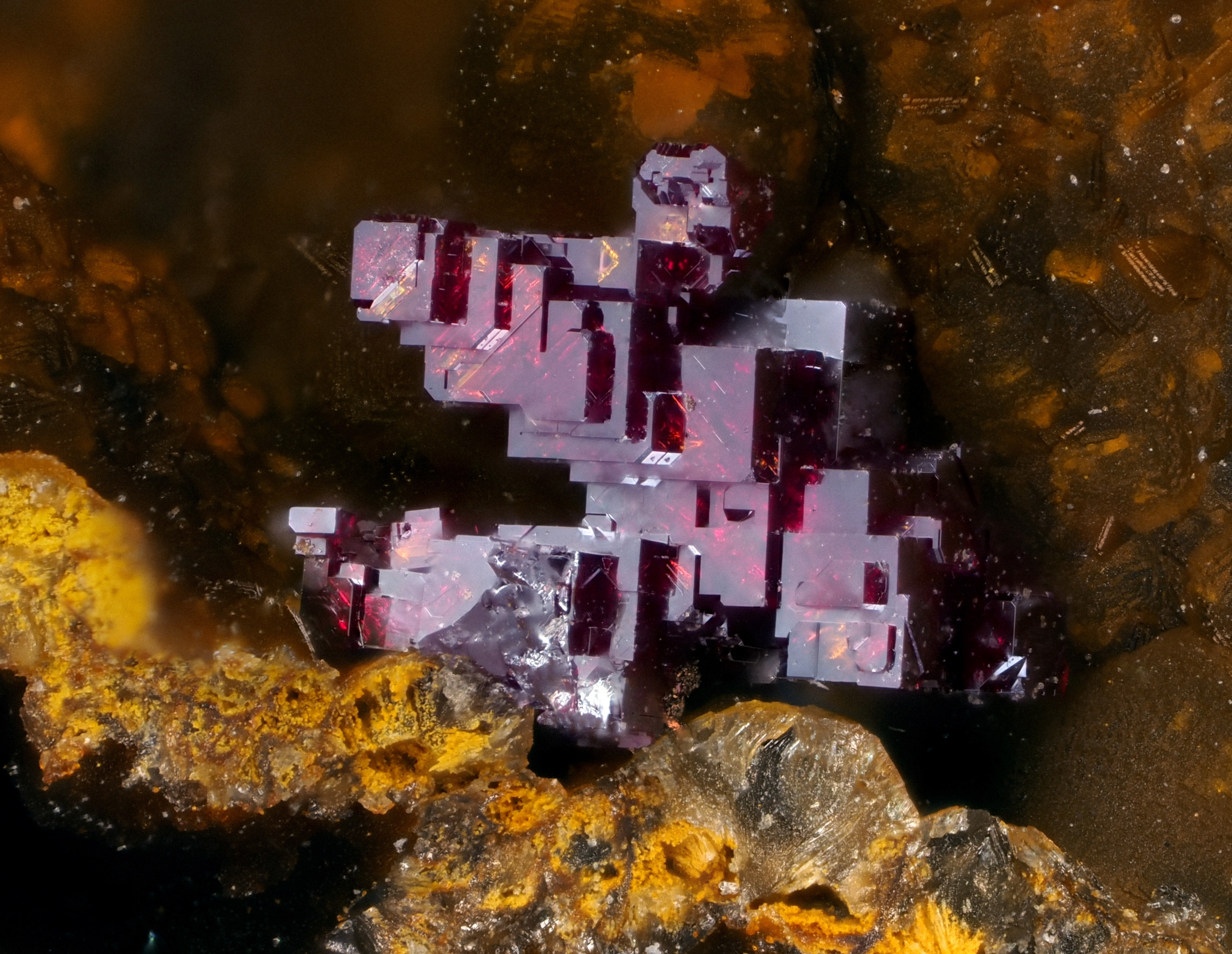 L'Agardite 1