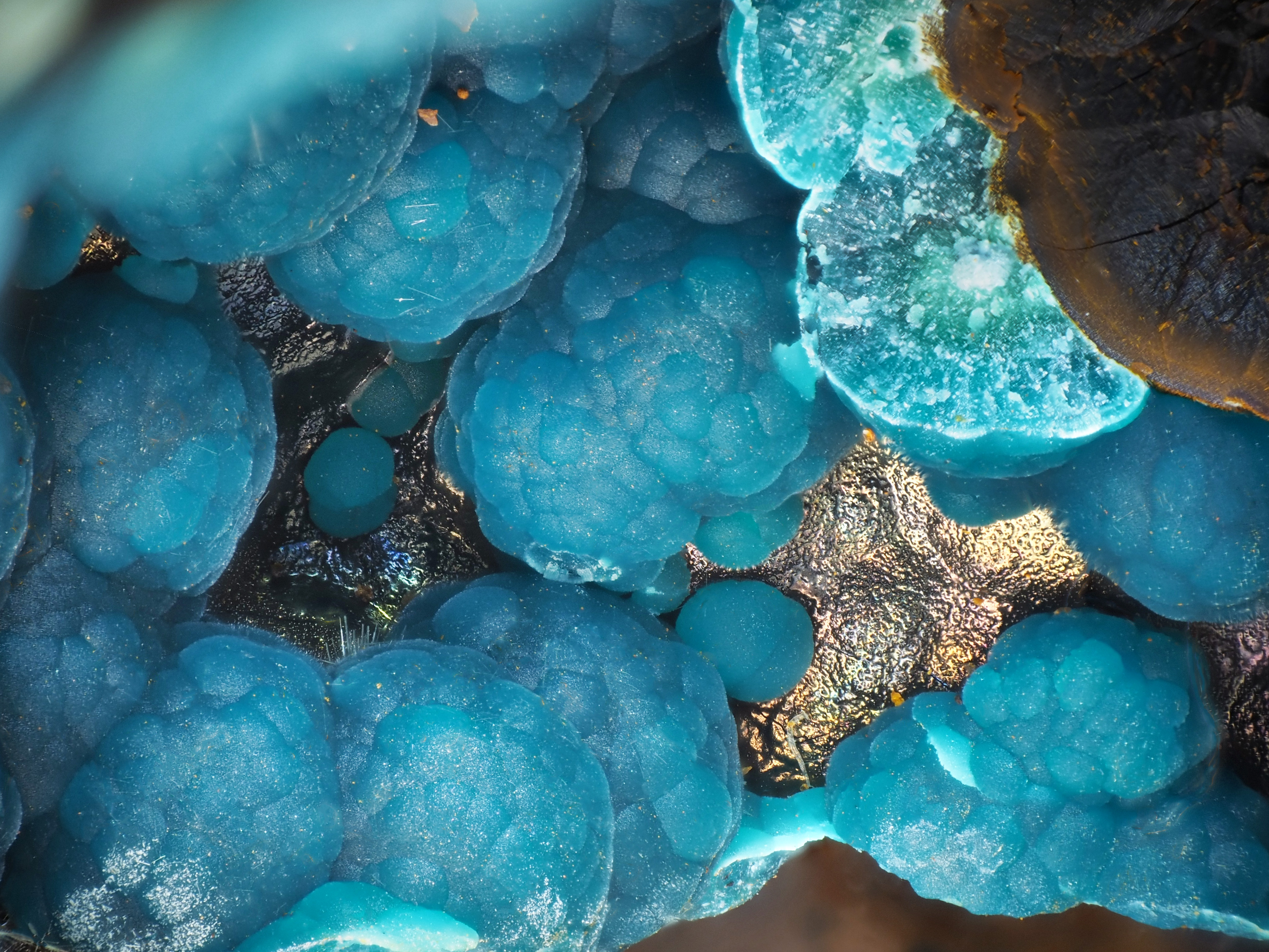 L'Agardite 1