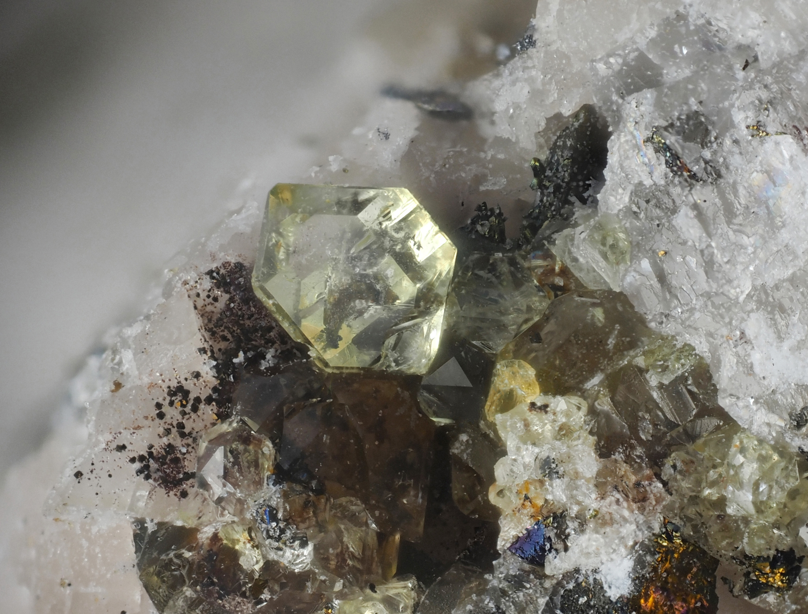 L'Agardite 1