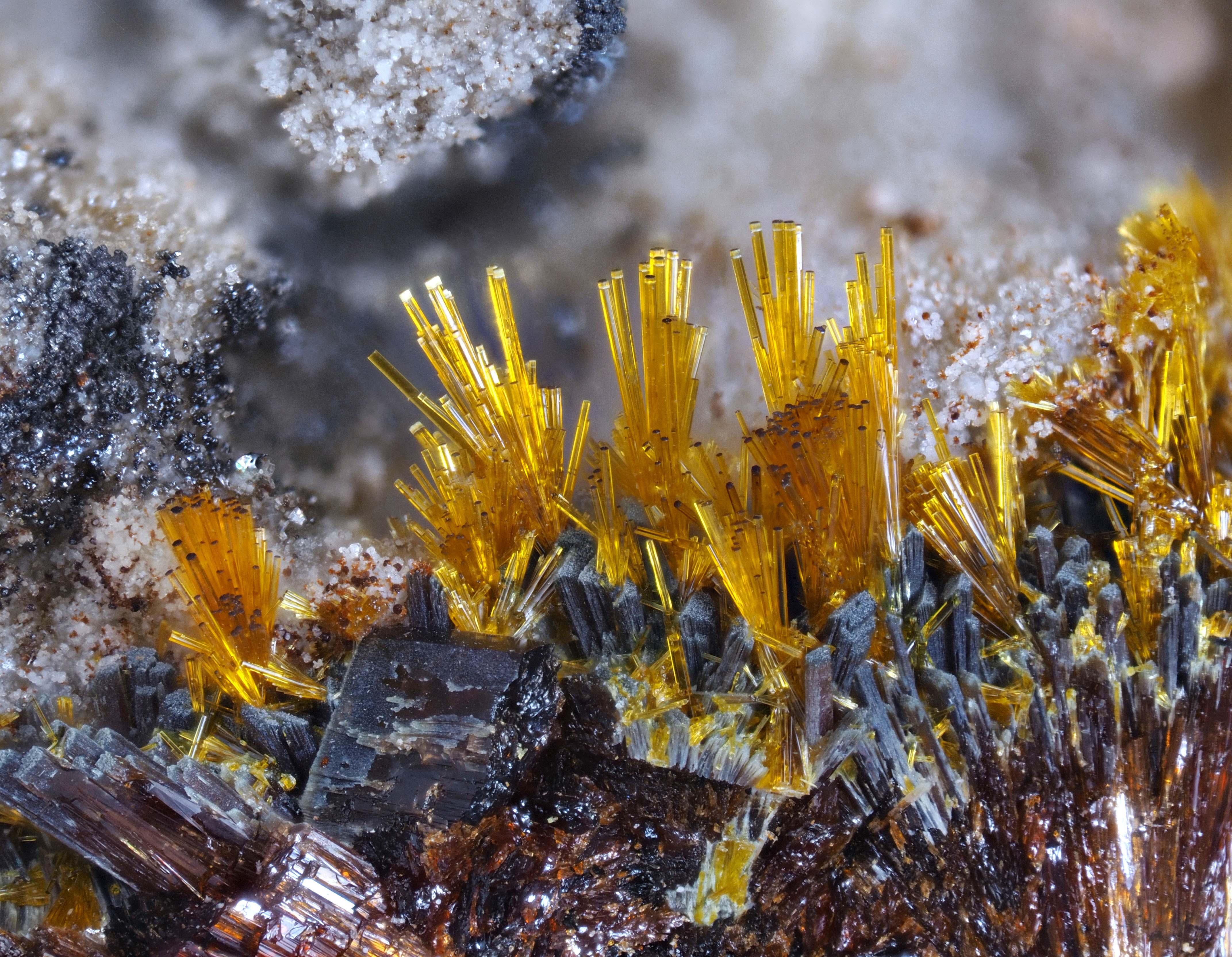 L'Agardite 1