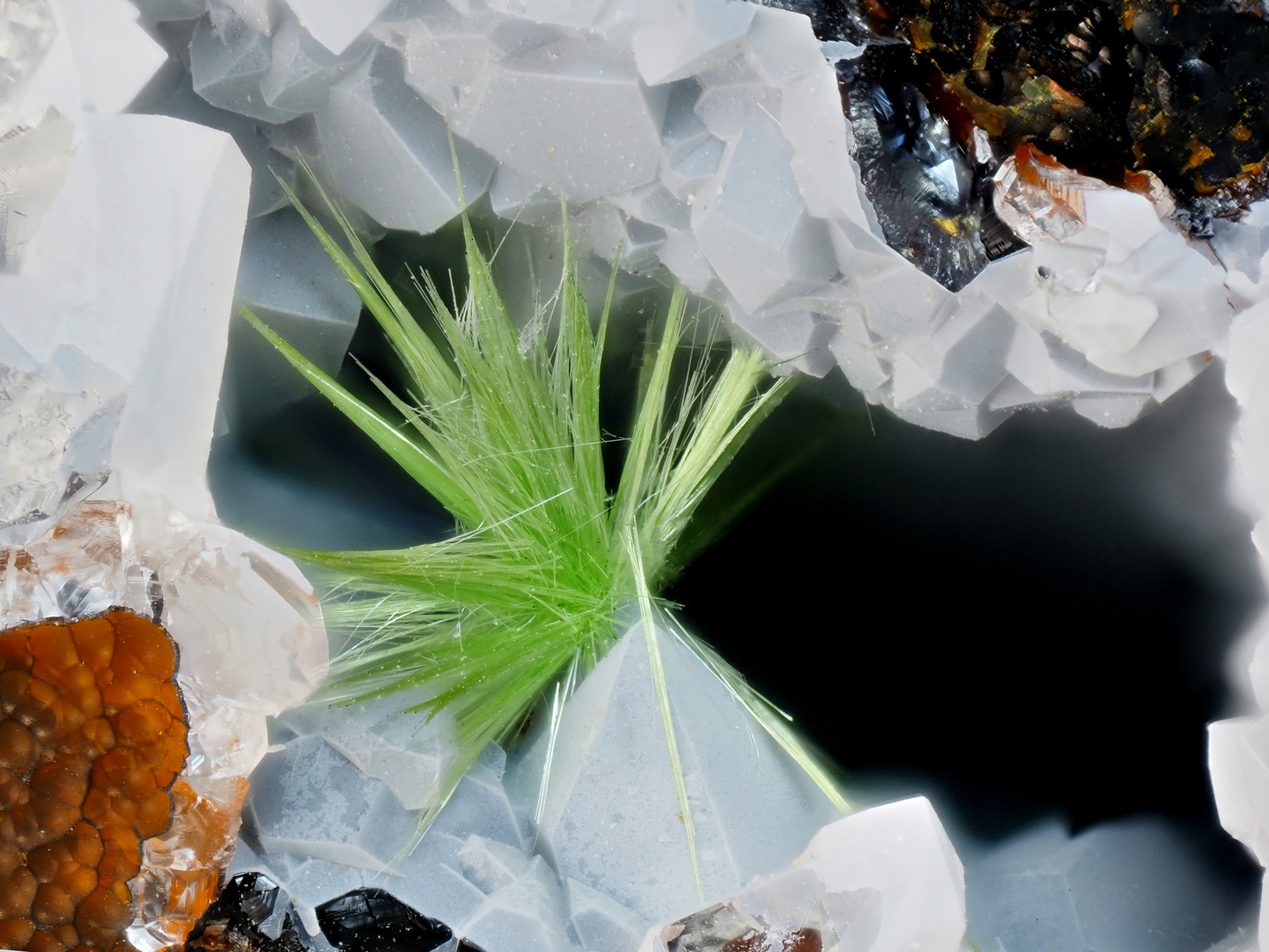 L'Agardite 1