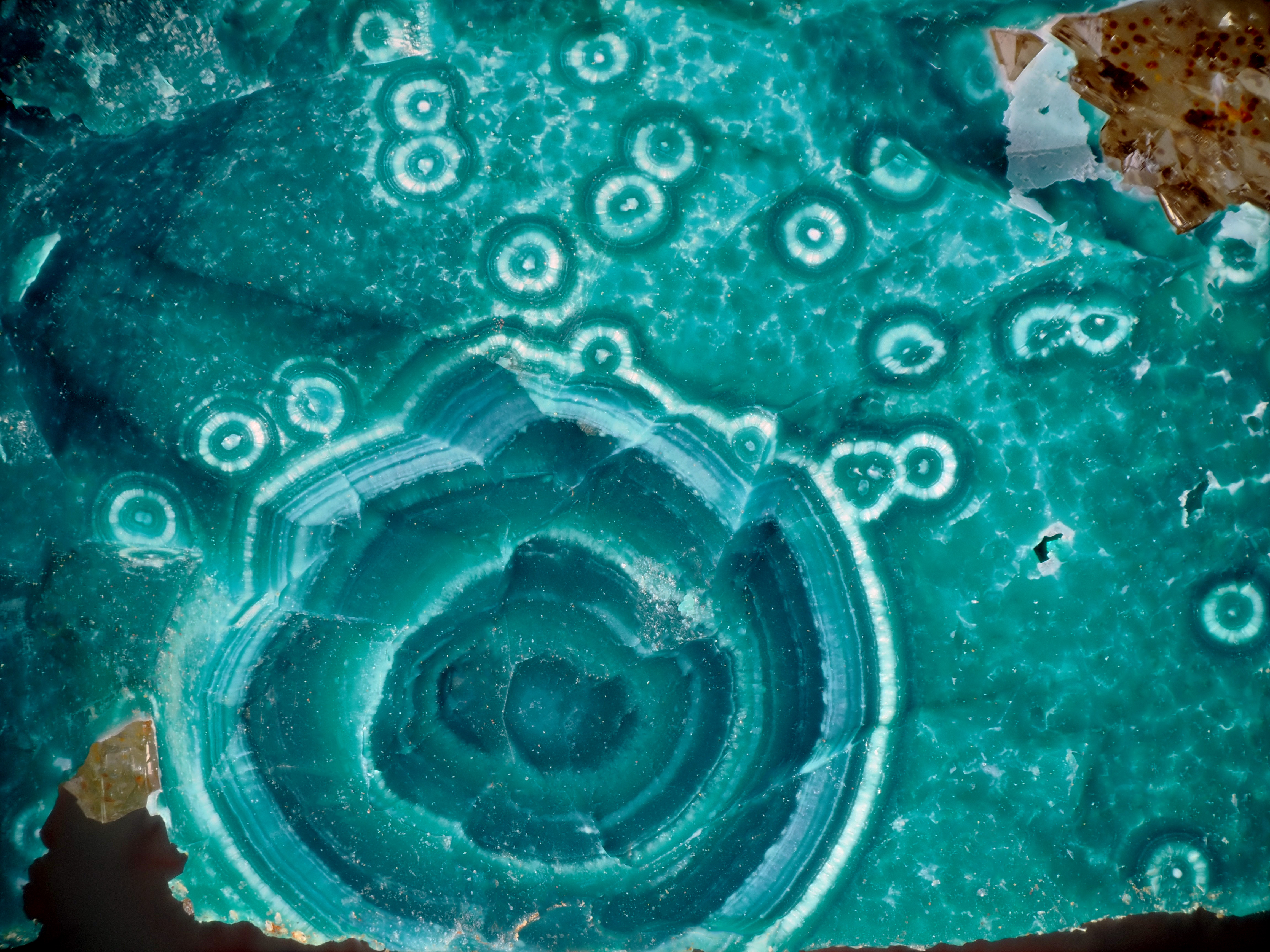 L'Agardite 1