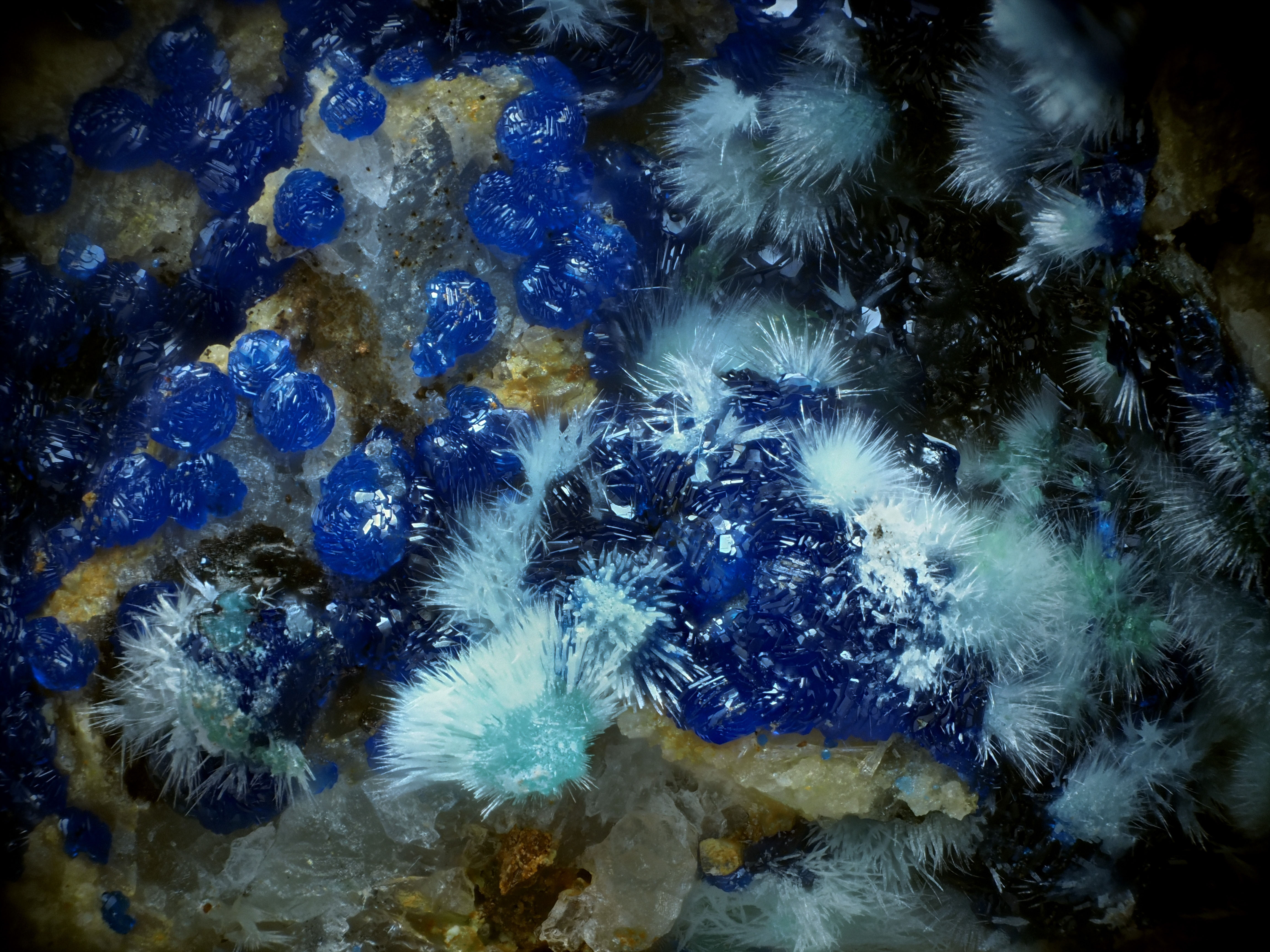 L'Agardite 1