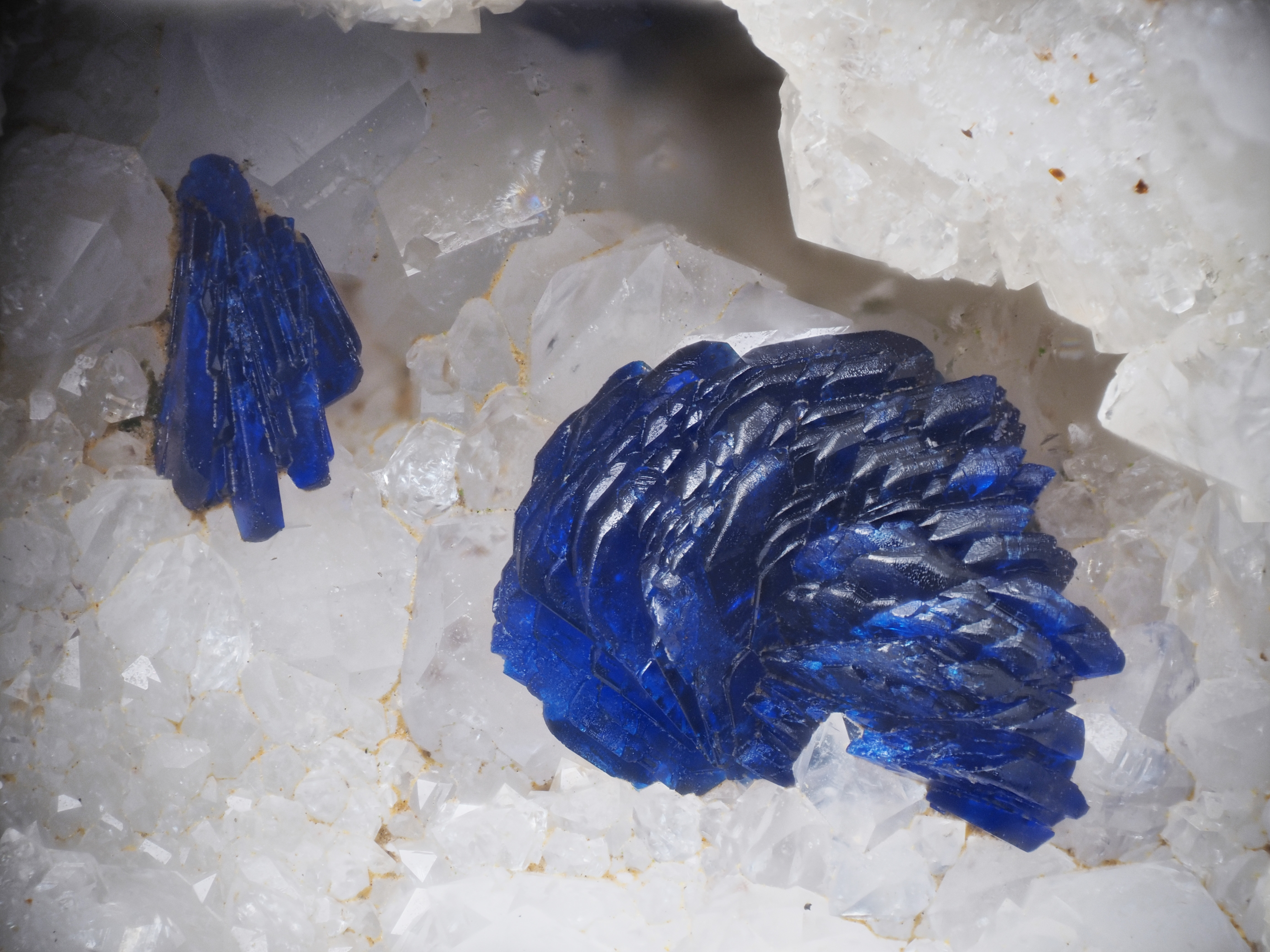 L'Agardite 1