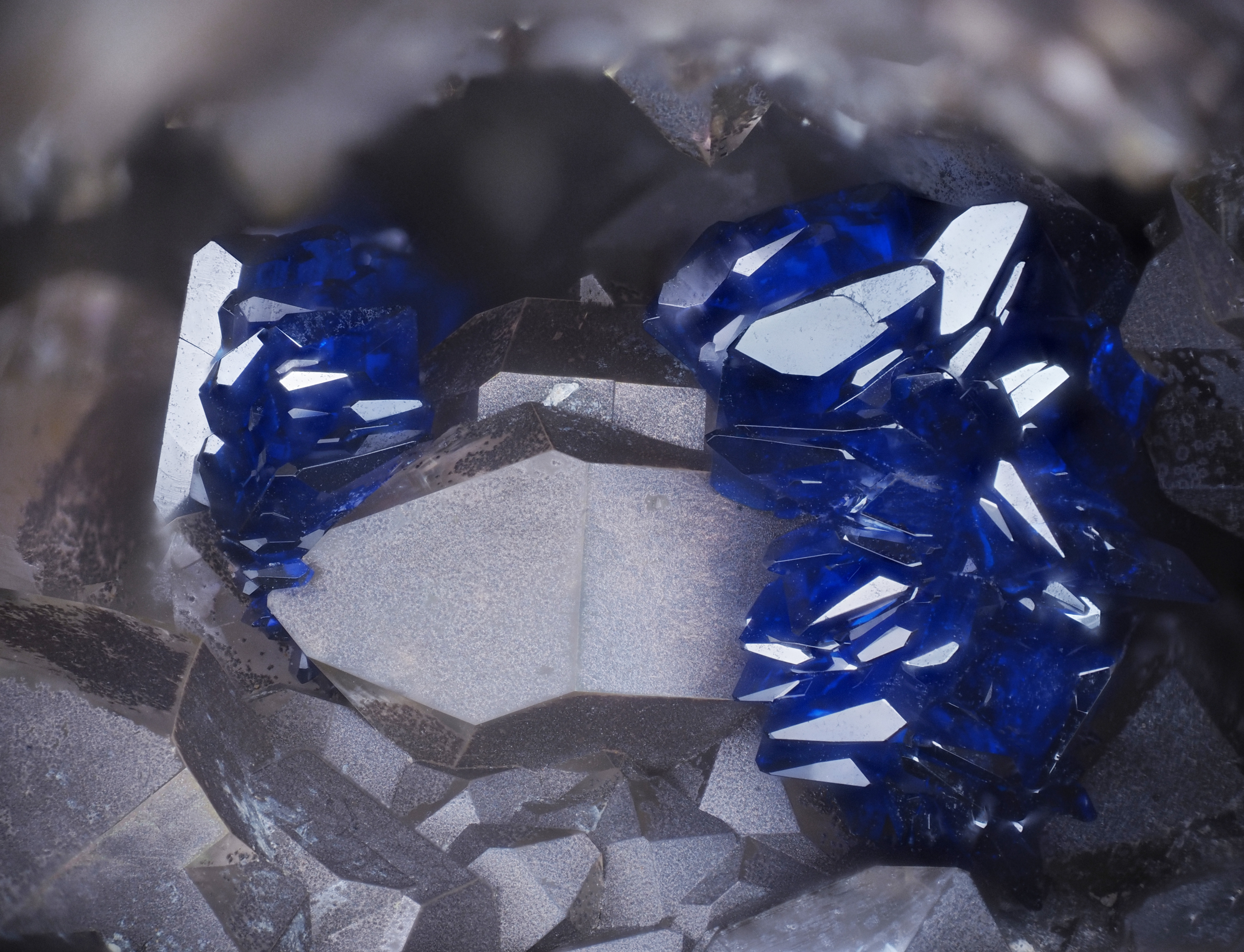 L'Agardite 1