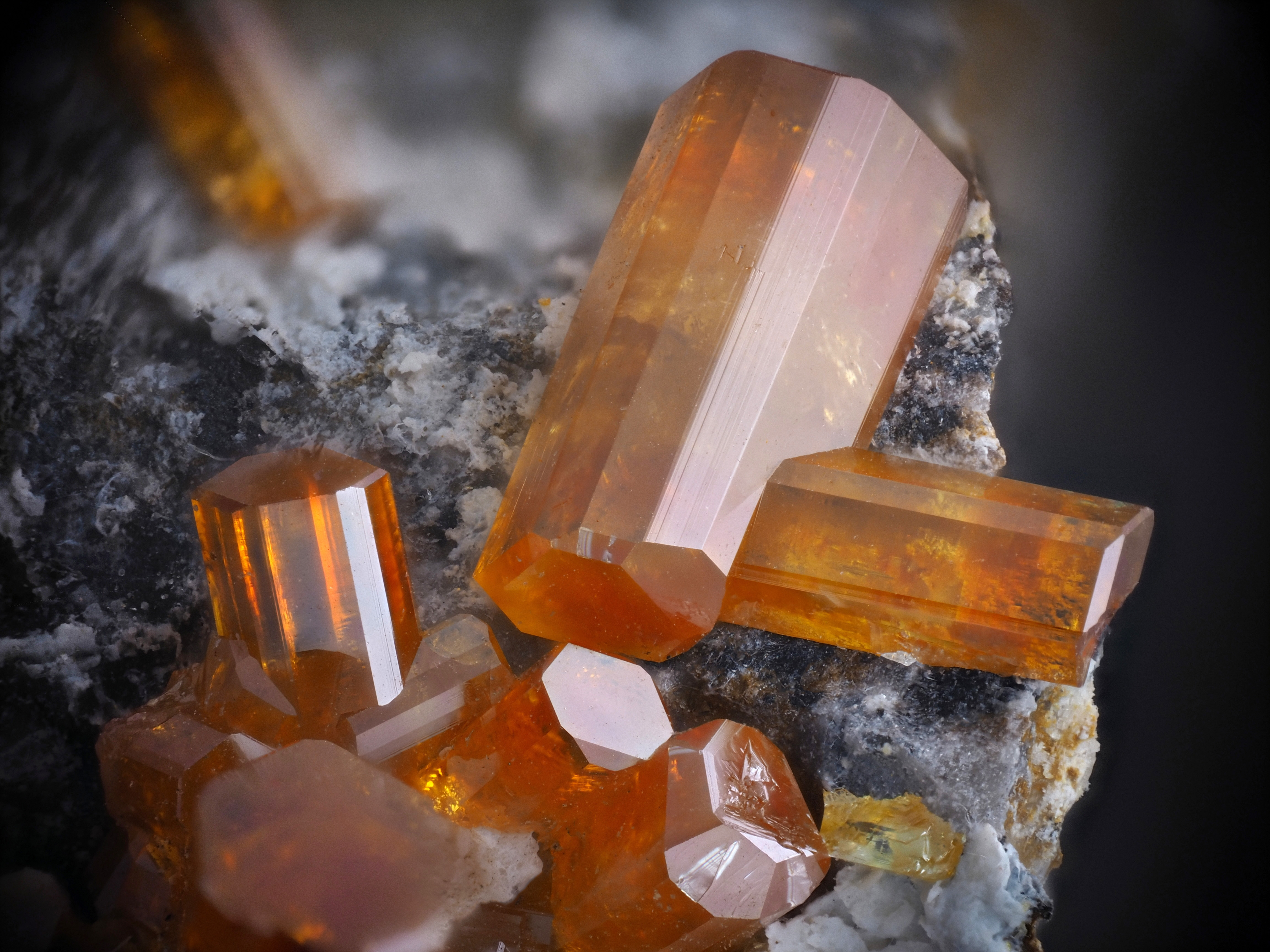 L'Agardite 1