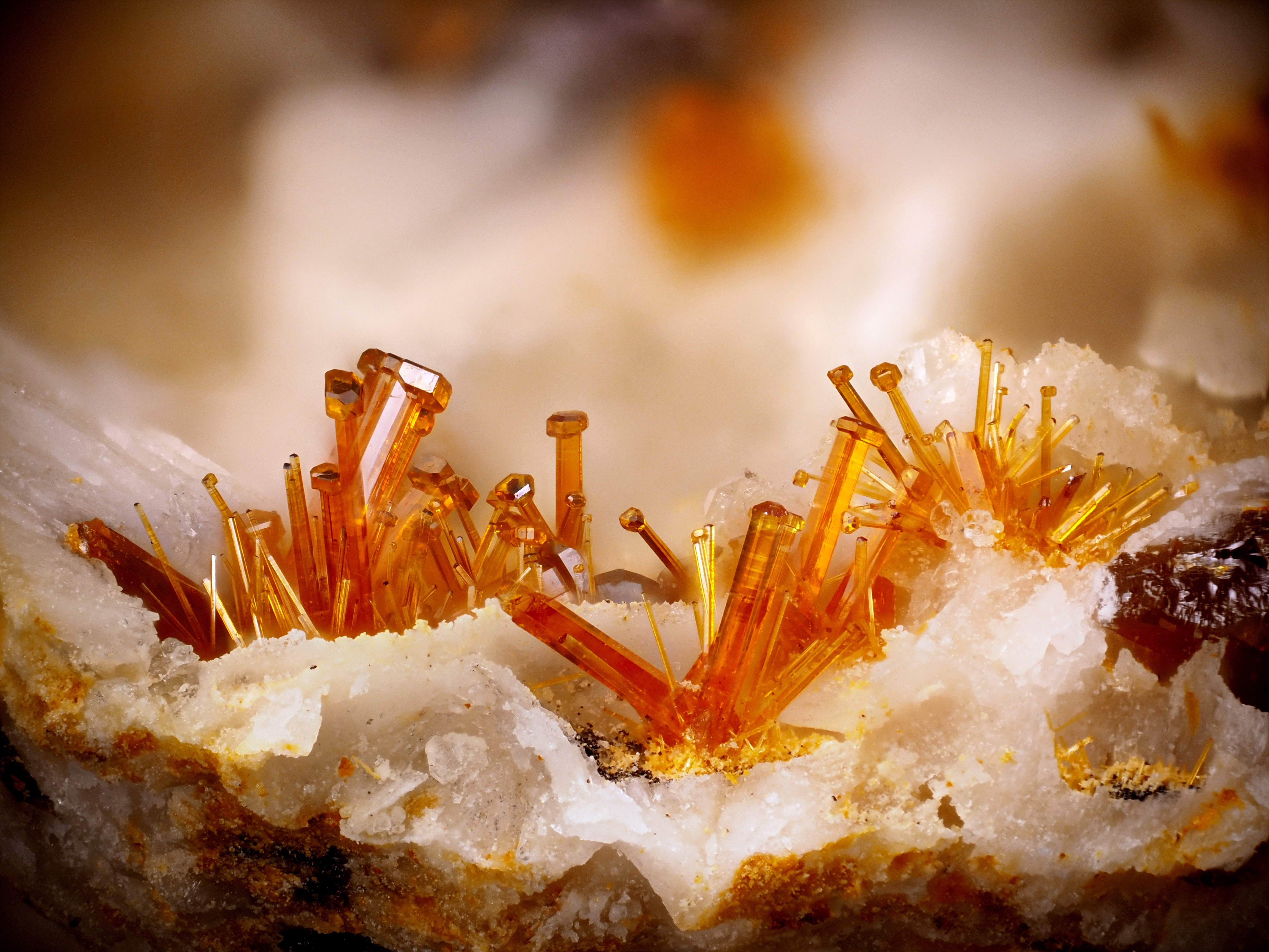L'Agardite 1