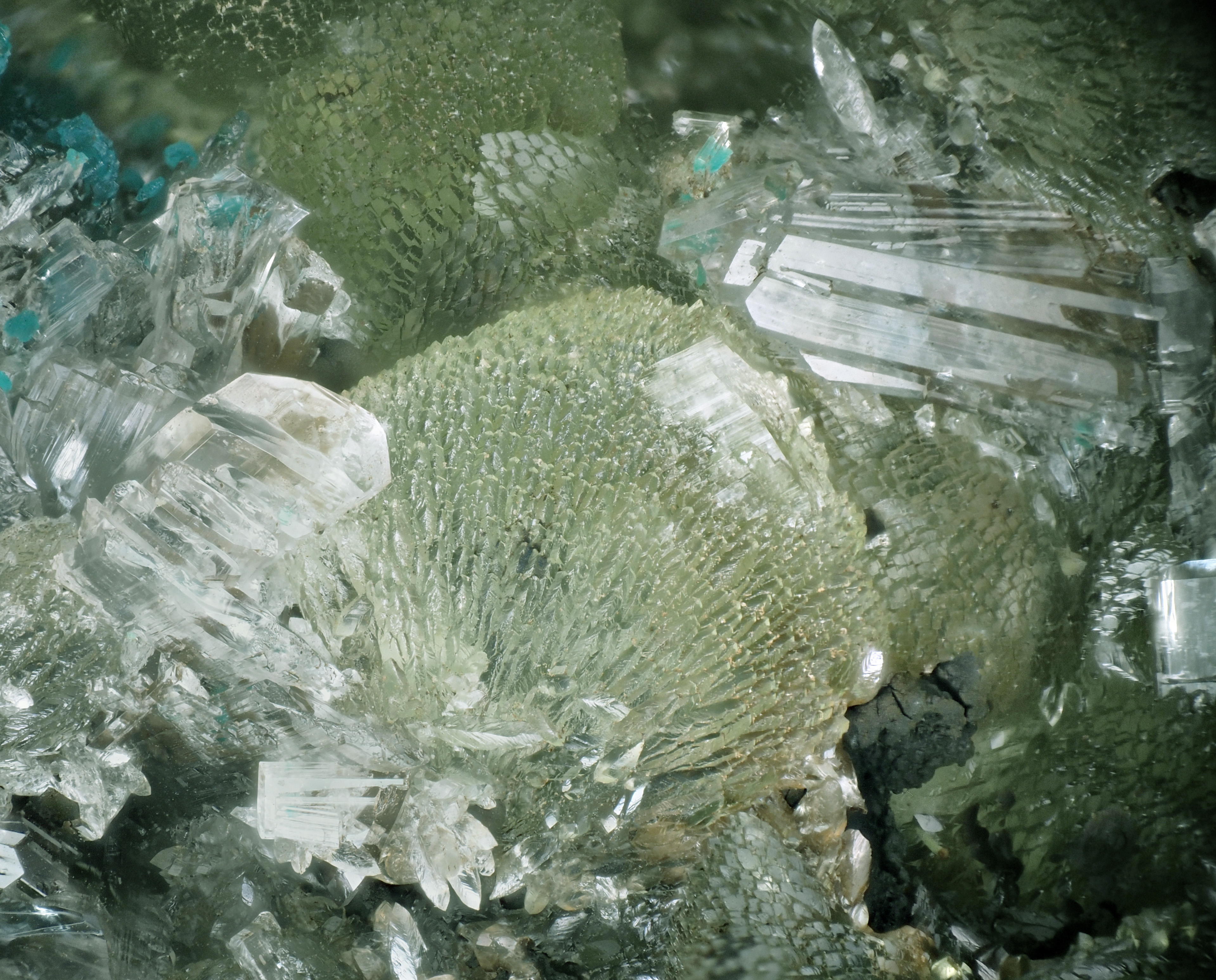 L'Agardite 1