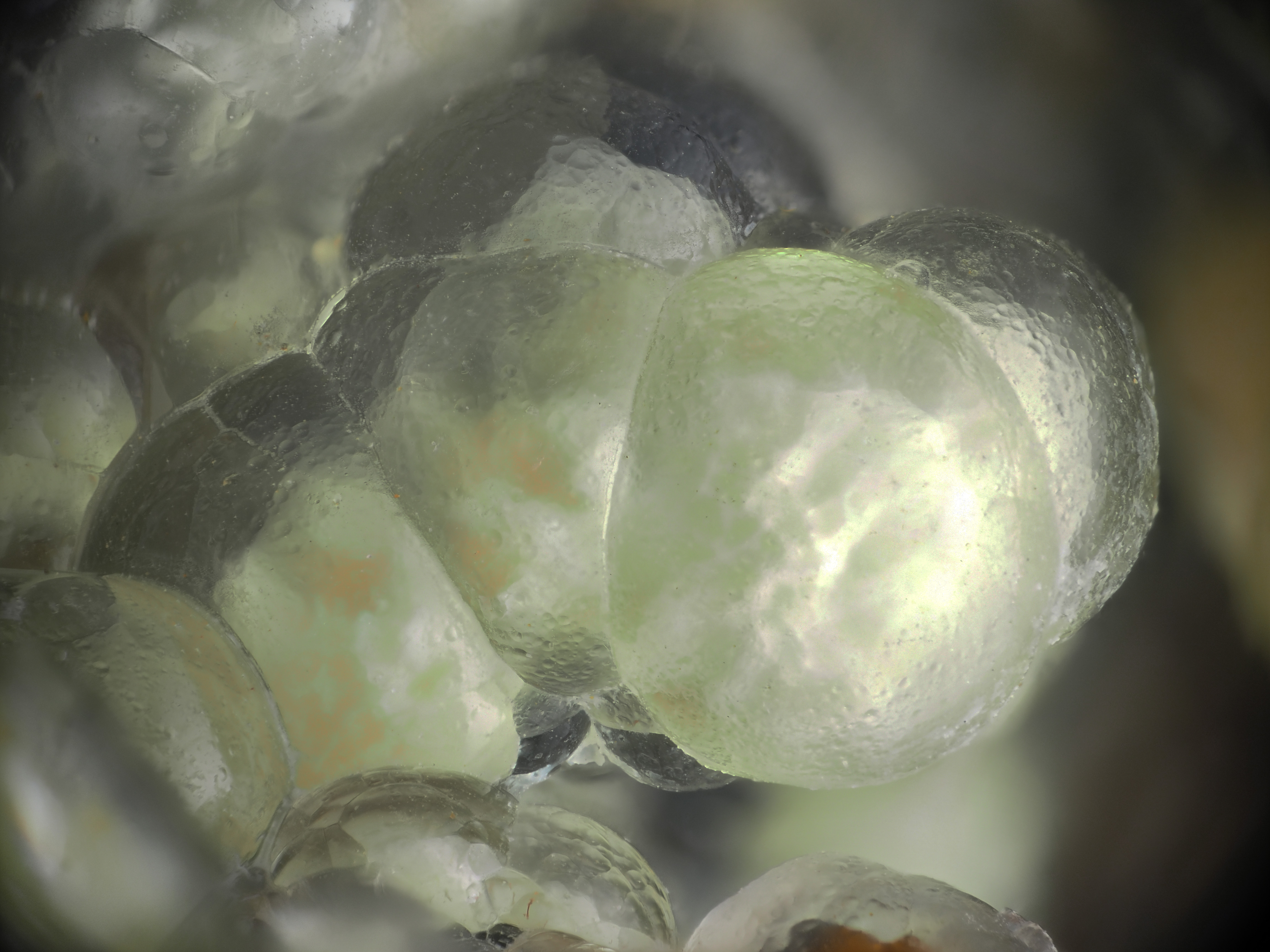 L'Agardite 1