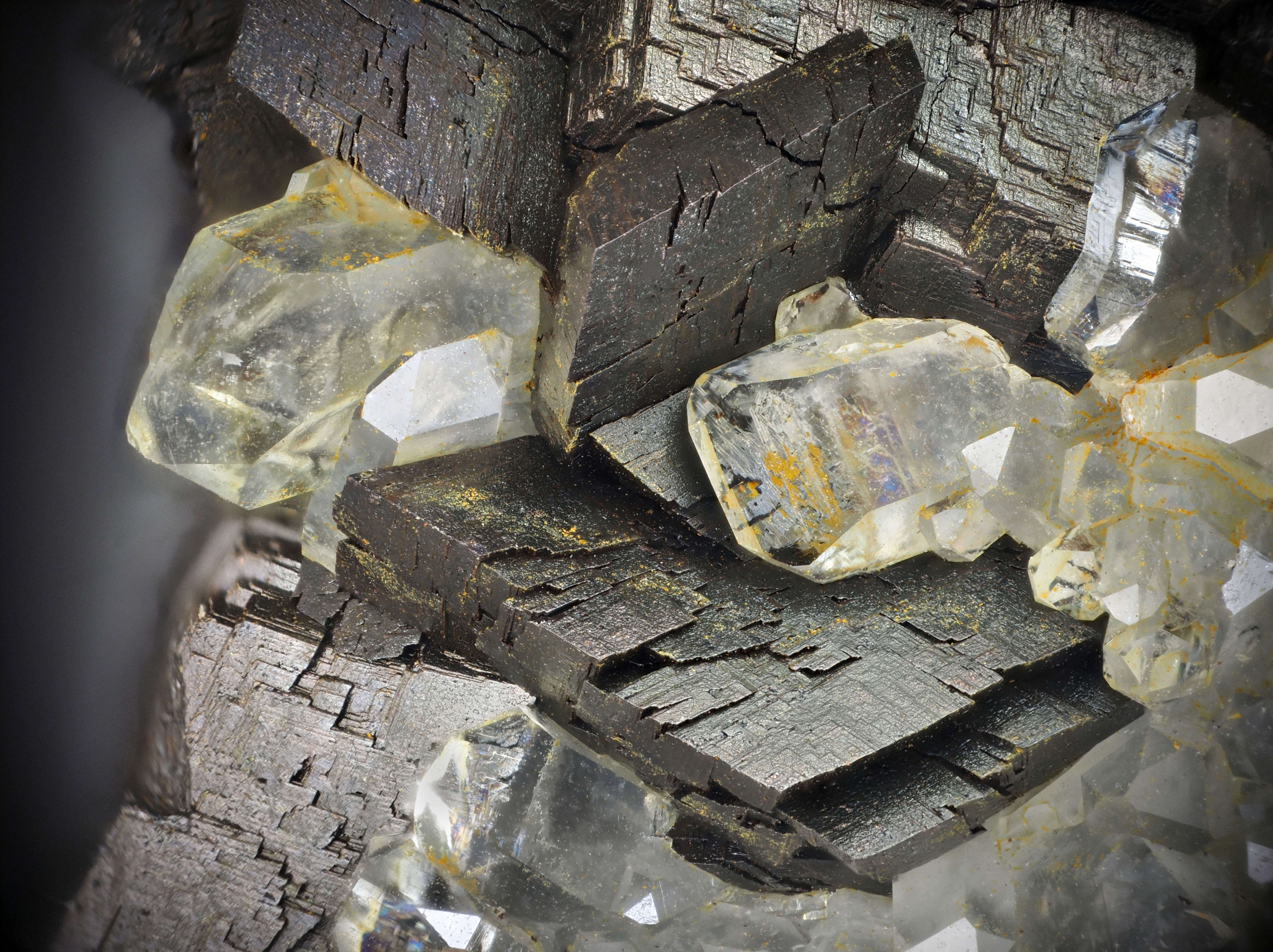 L'Agardite 1