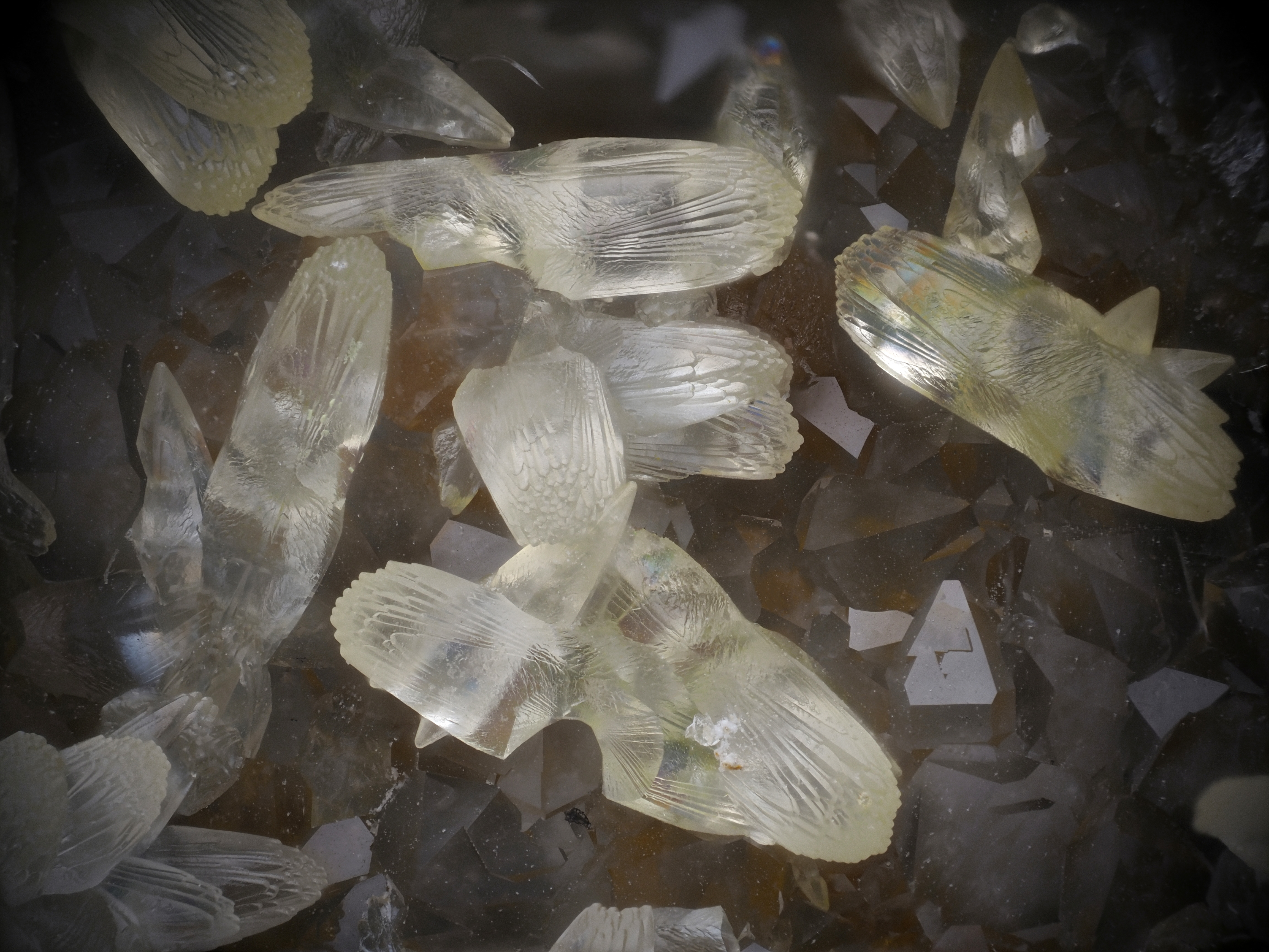 L'Agardite 1