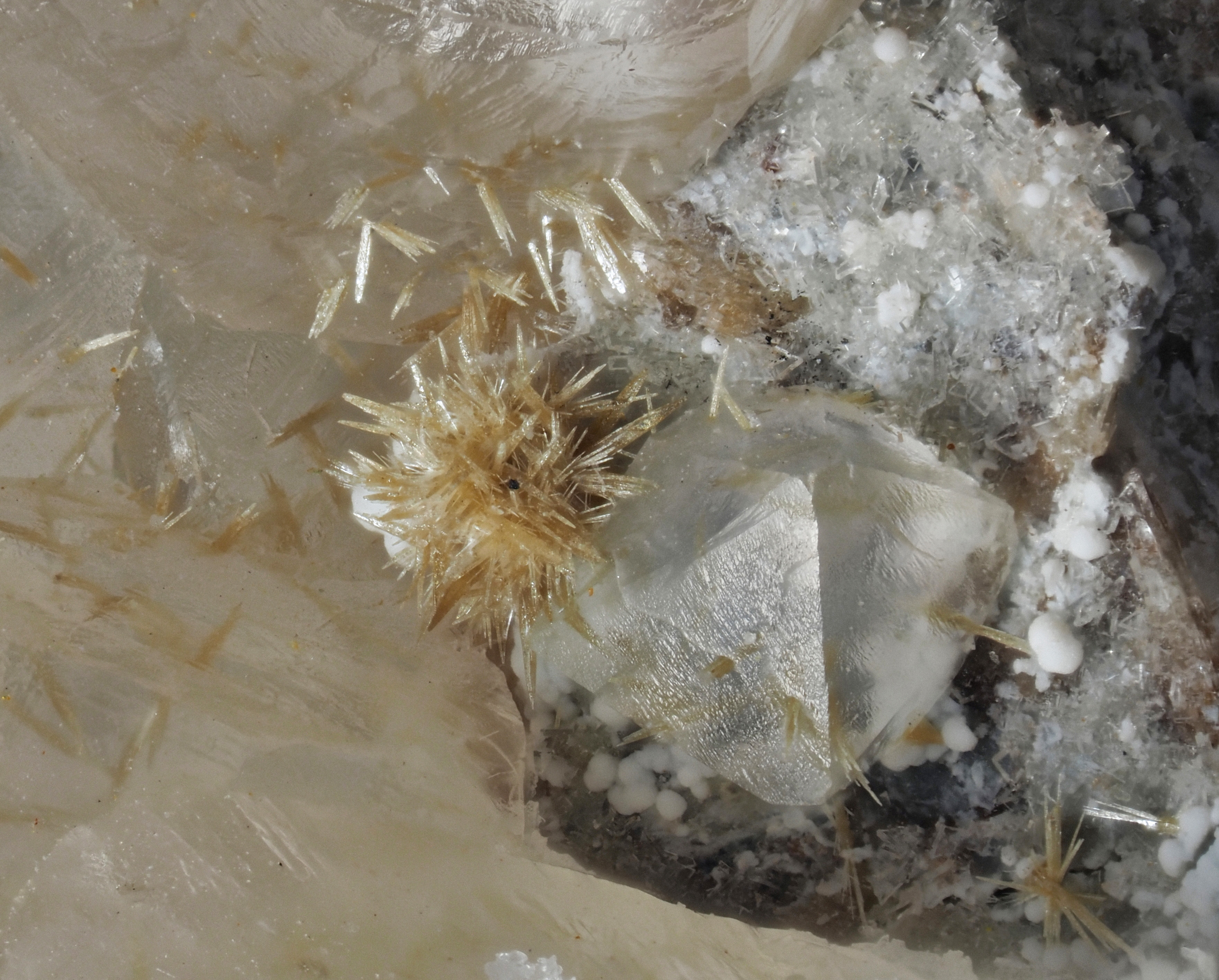 L'Agardite 1