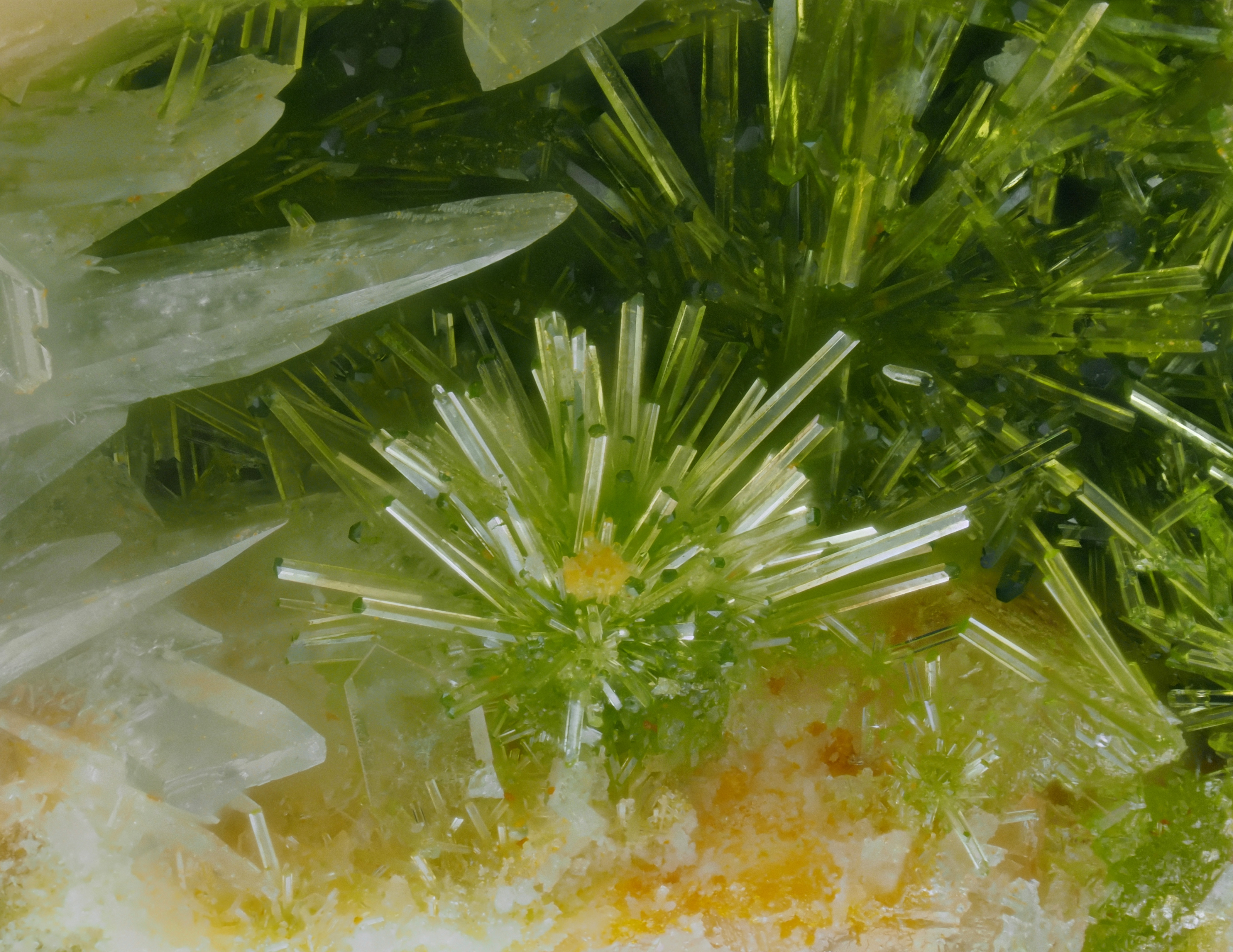 L'Agardite 1