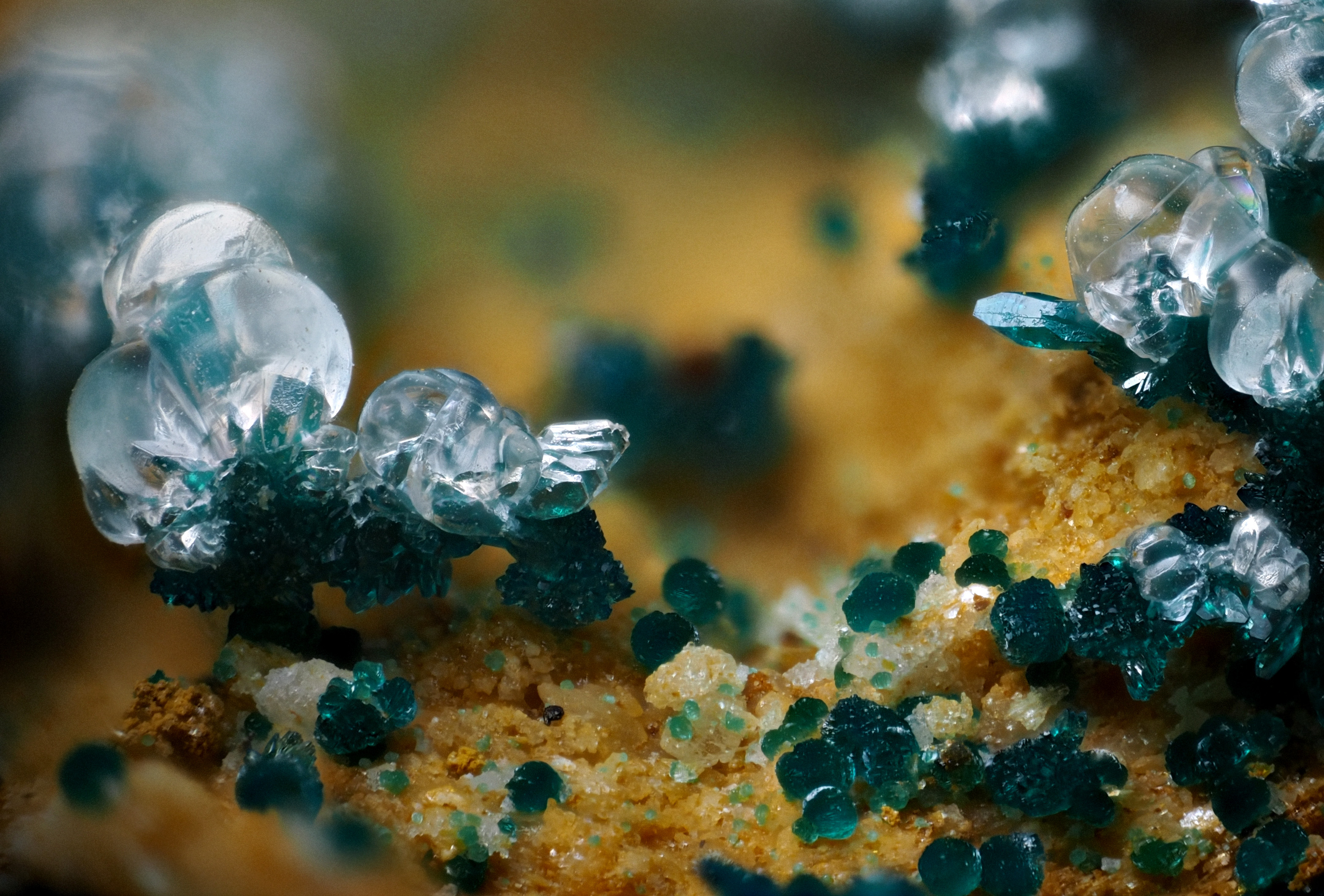 L'Agardite 1