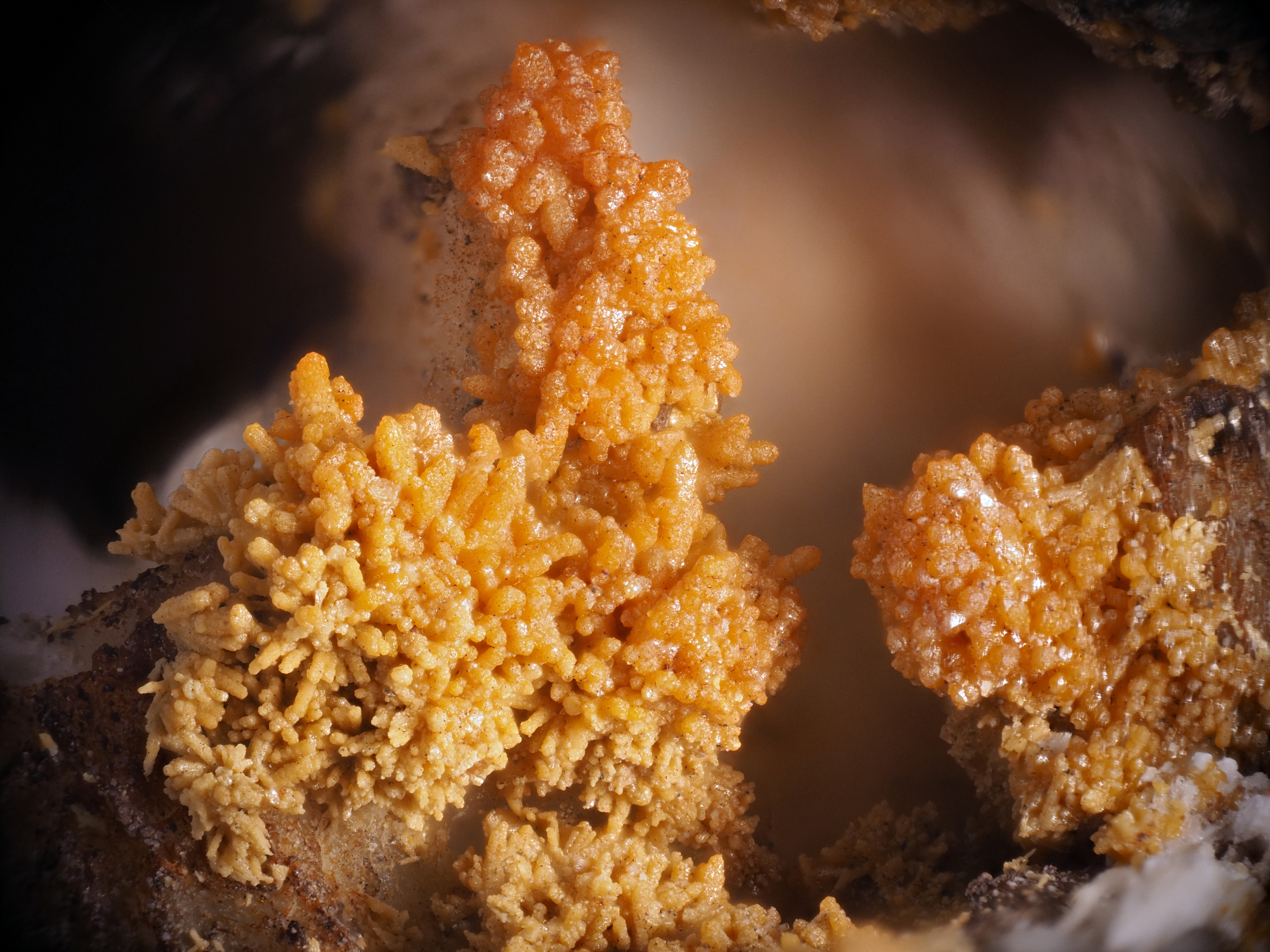 L'Agardite 1