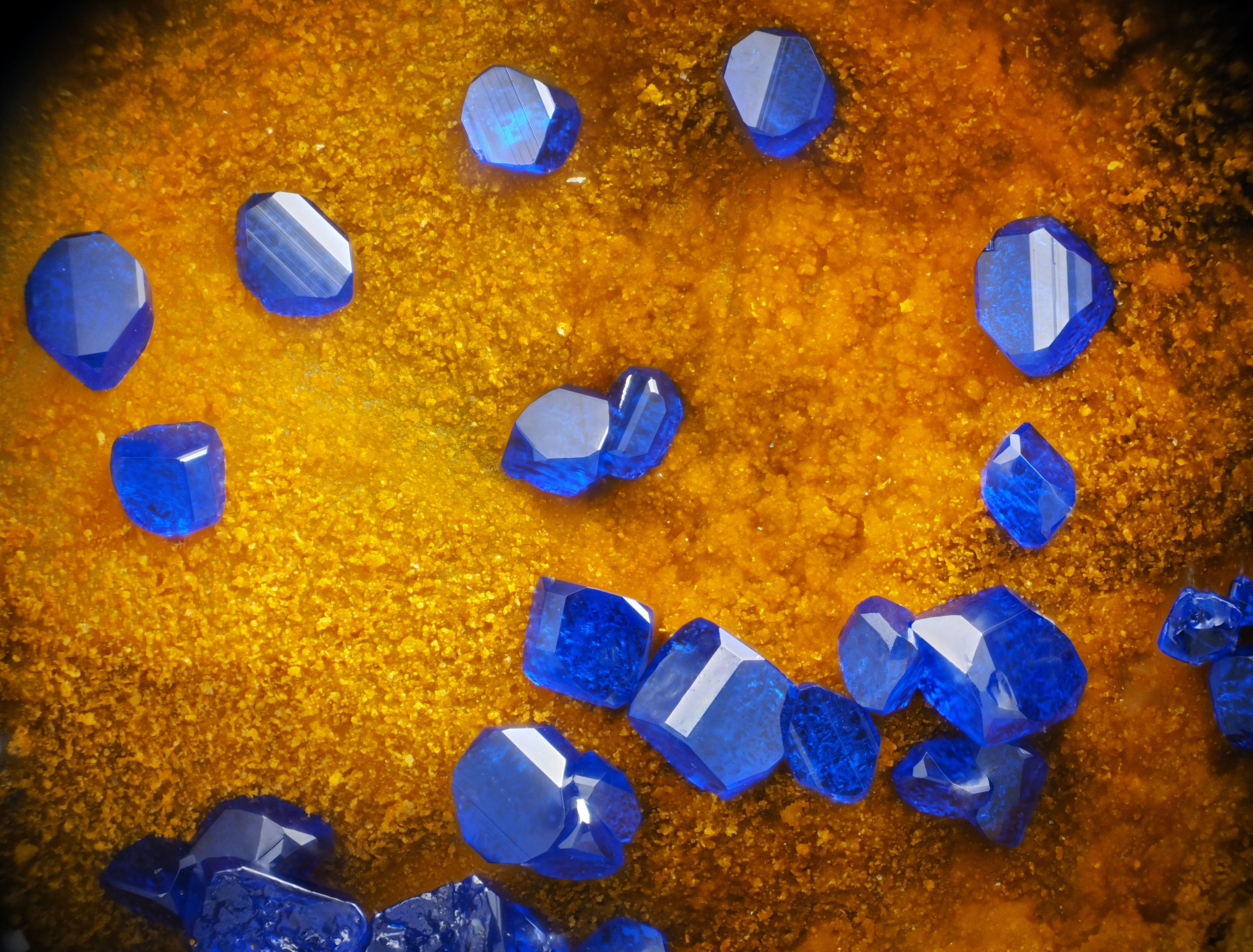 L'Agardite 1