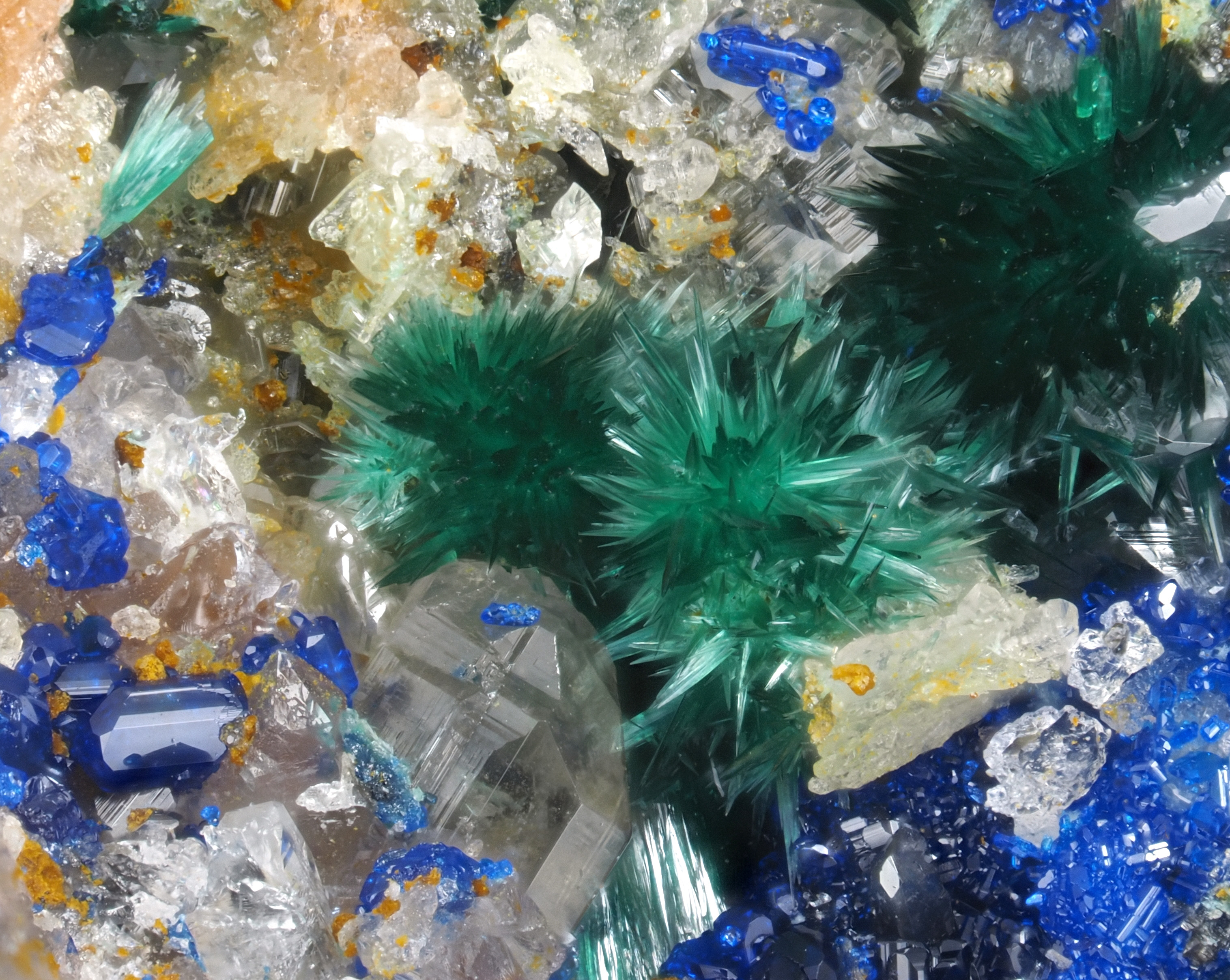 L'Agardite 1