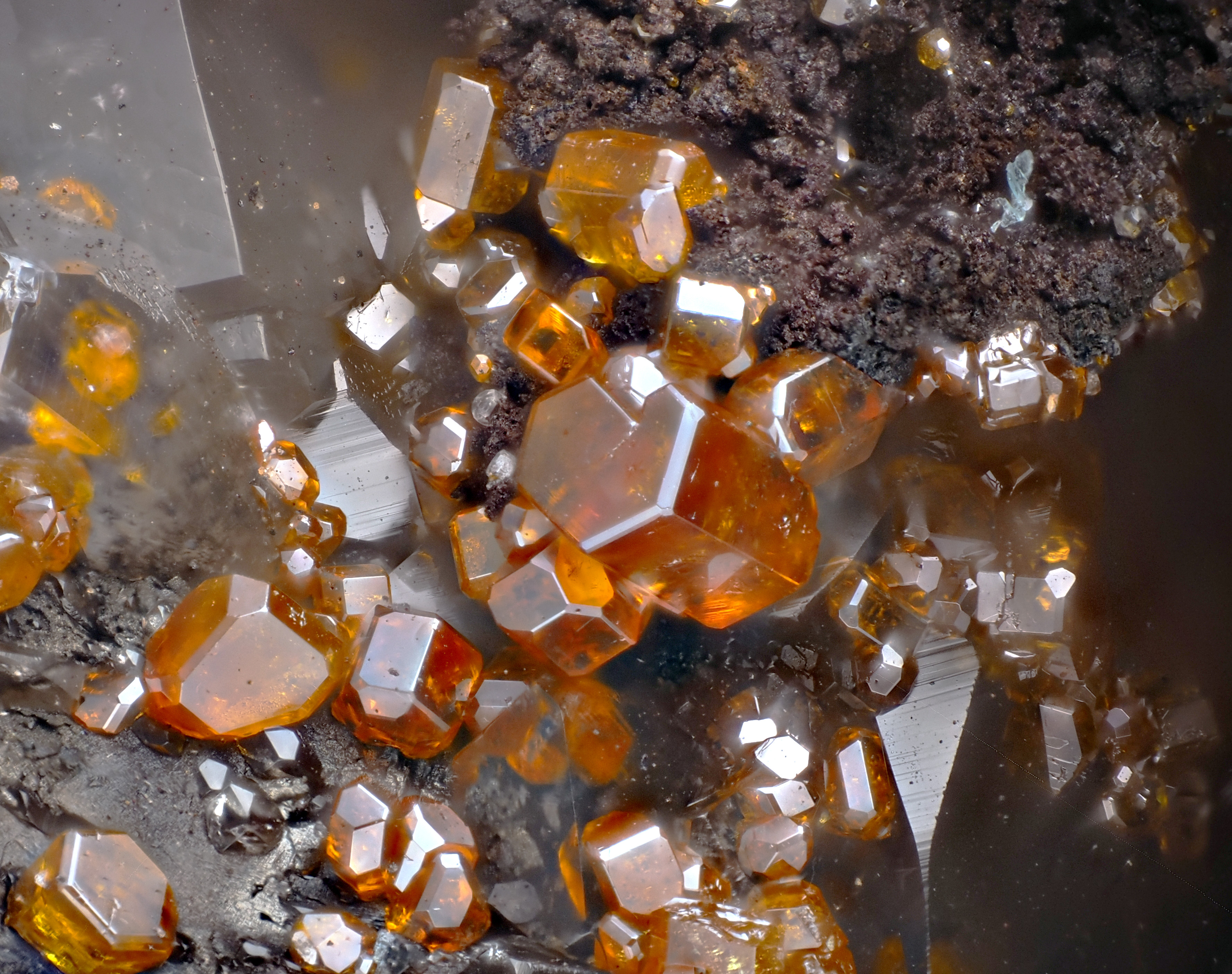 L'Agardite 1