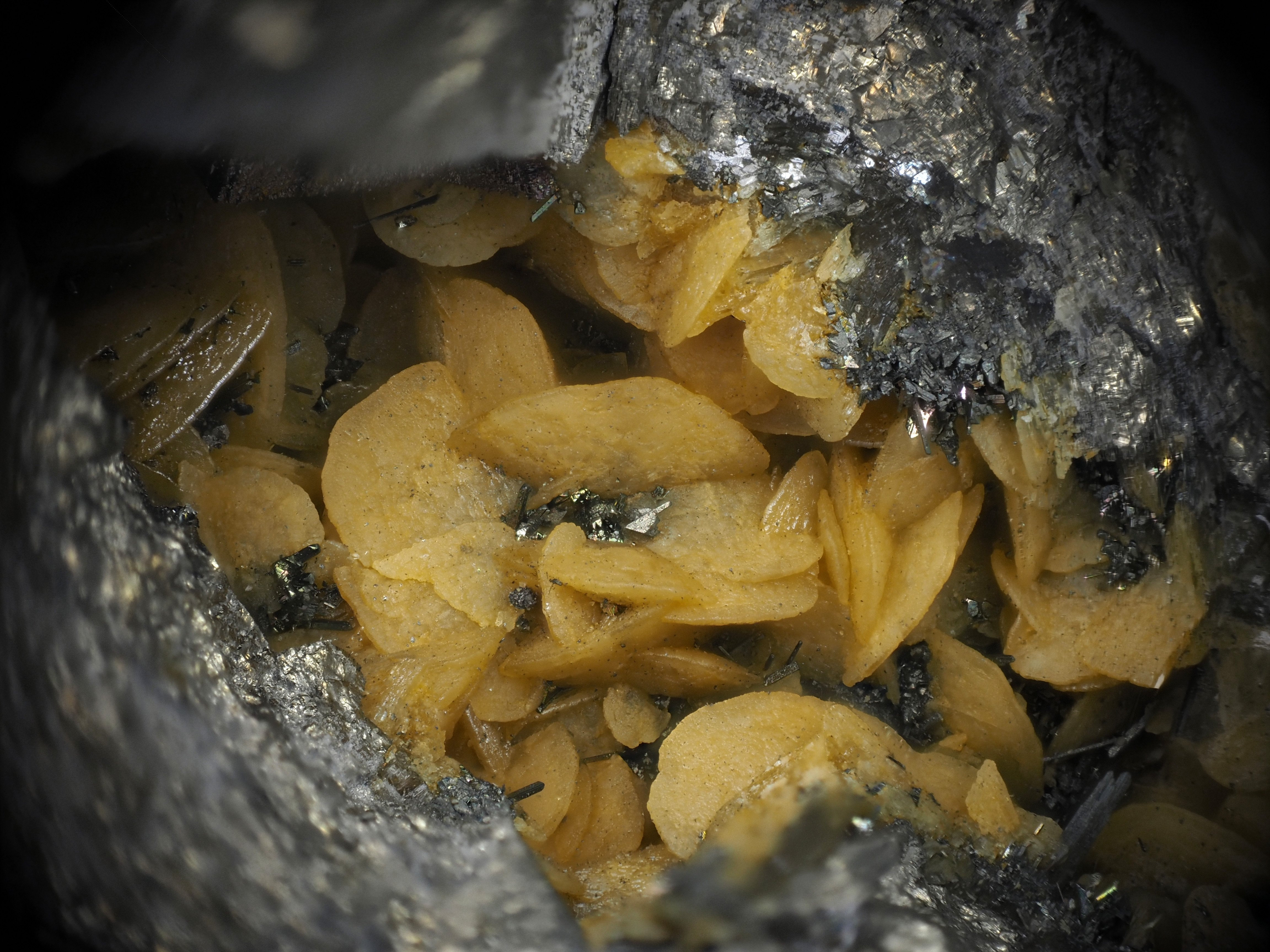 L'Agardite 1