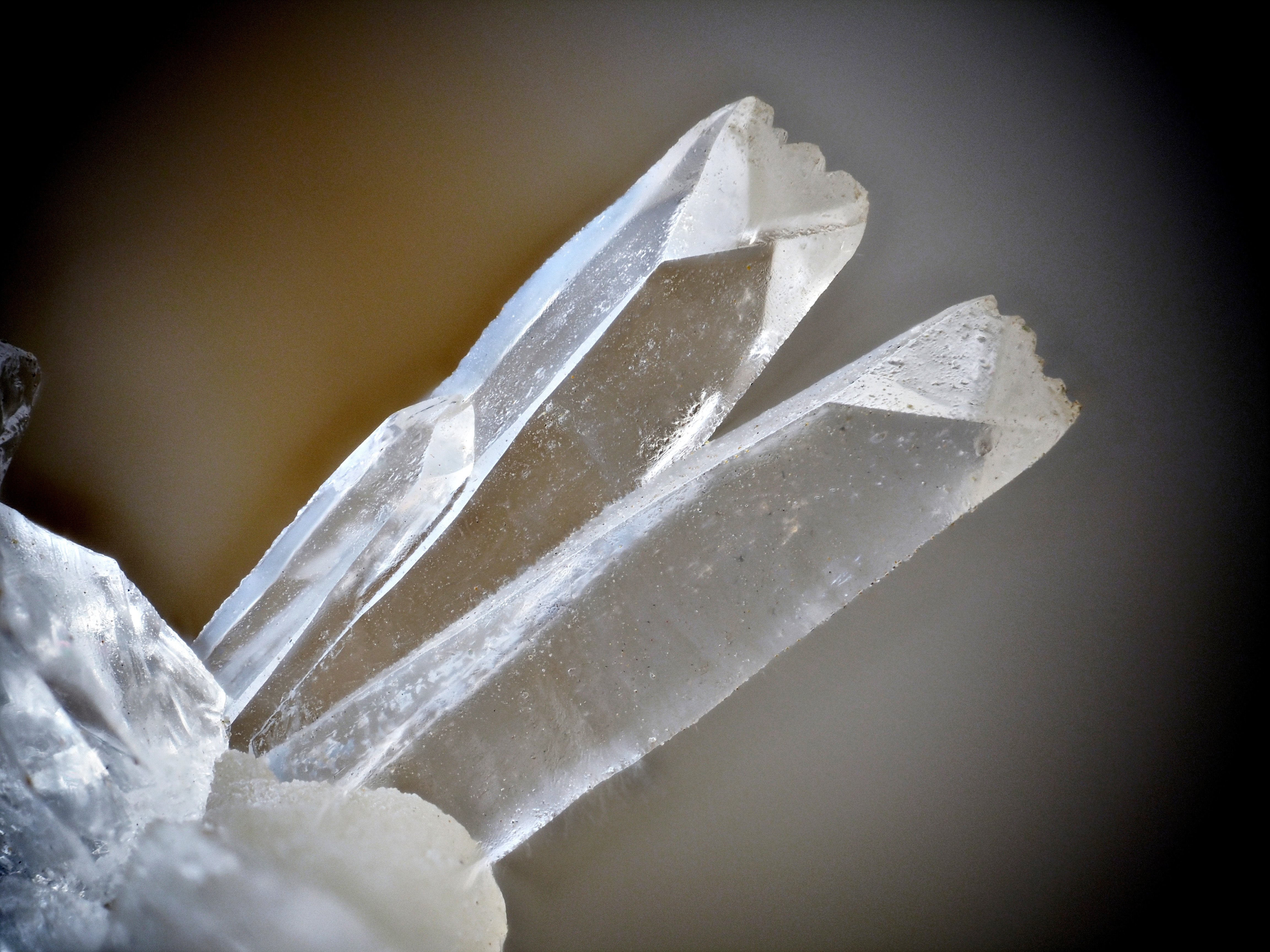 L'Agardite 1
