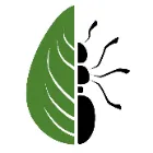 L' Astragale et la fourmi