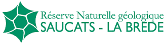 La Réserve Géologique de Saucats